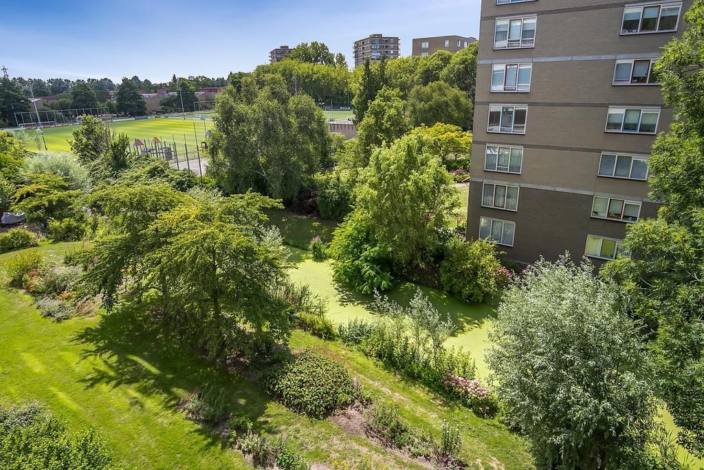 Zwedenburg 41 Photo 1