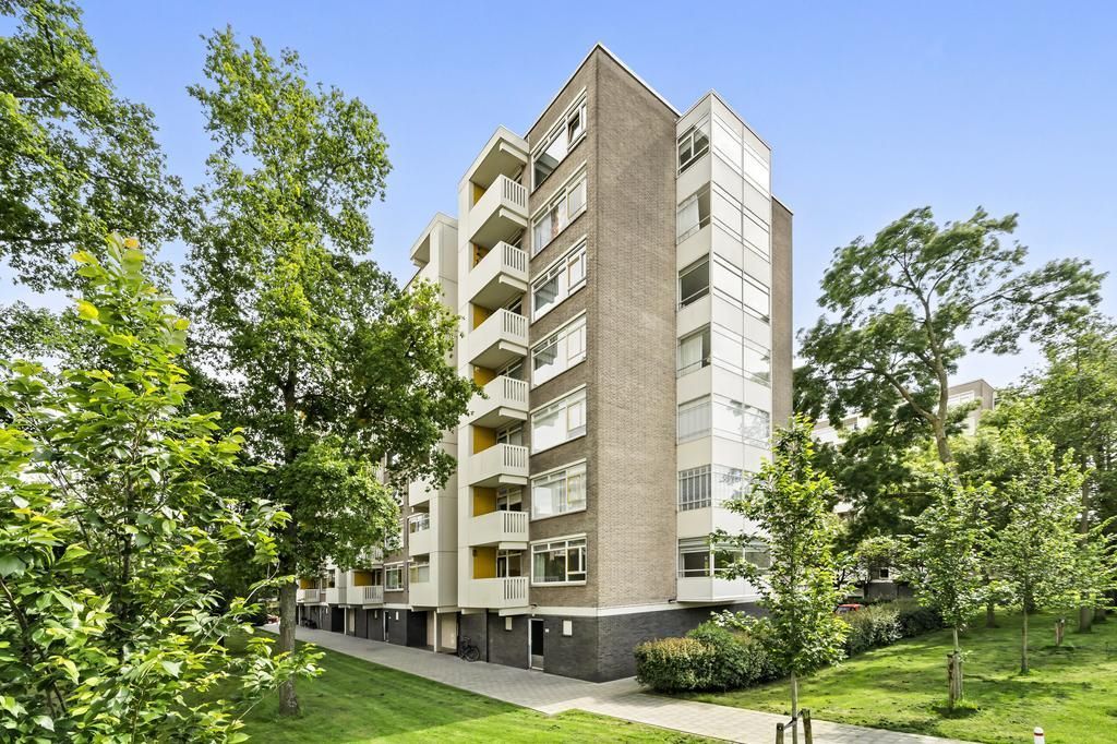 Suzannaland 232 Photo 4