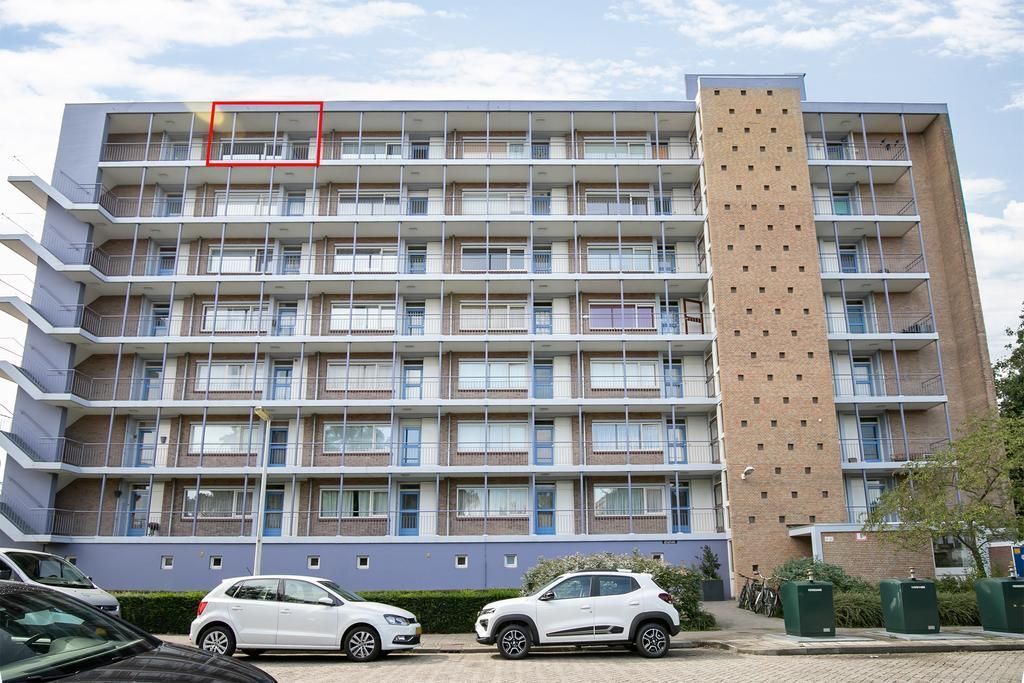 Norenburg 241 Photo 4