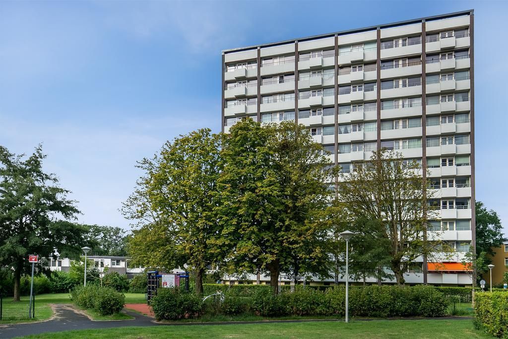 Haverkamp 166 Photo 3