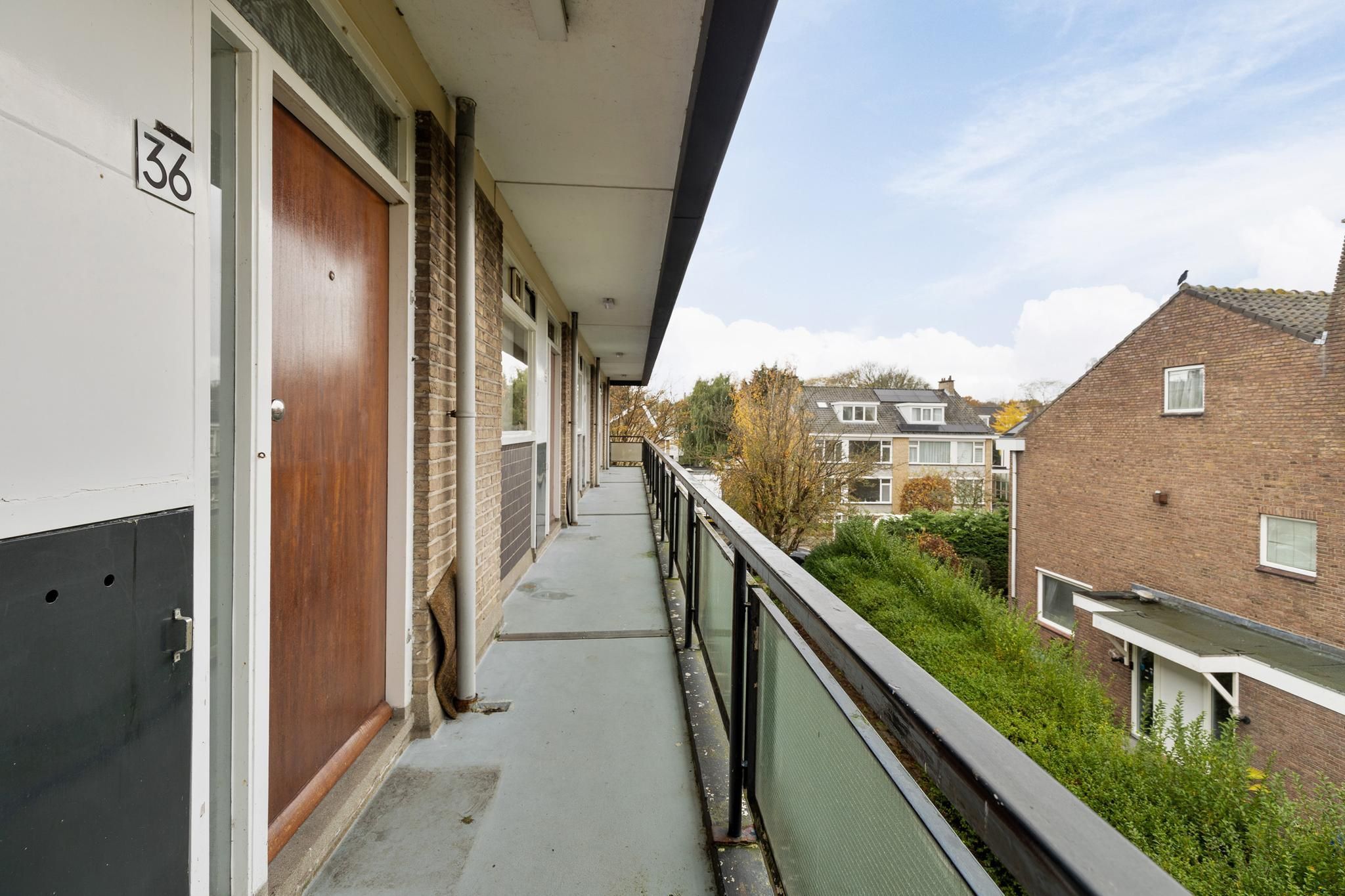 Robertaland 36 Photo 4