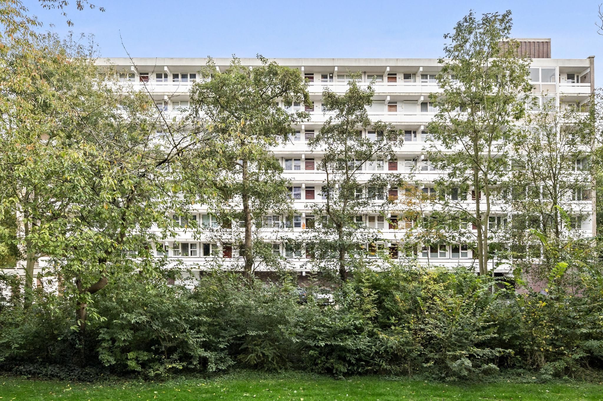 Isabellaland 1028 Photo 1