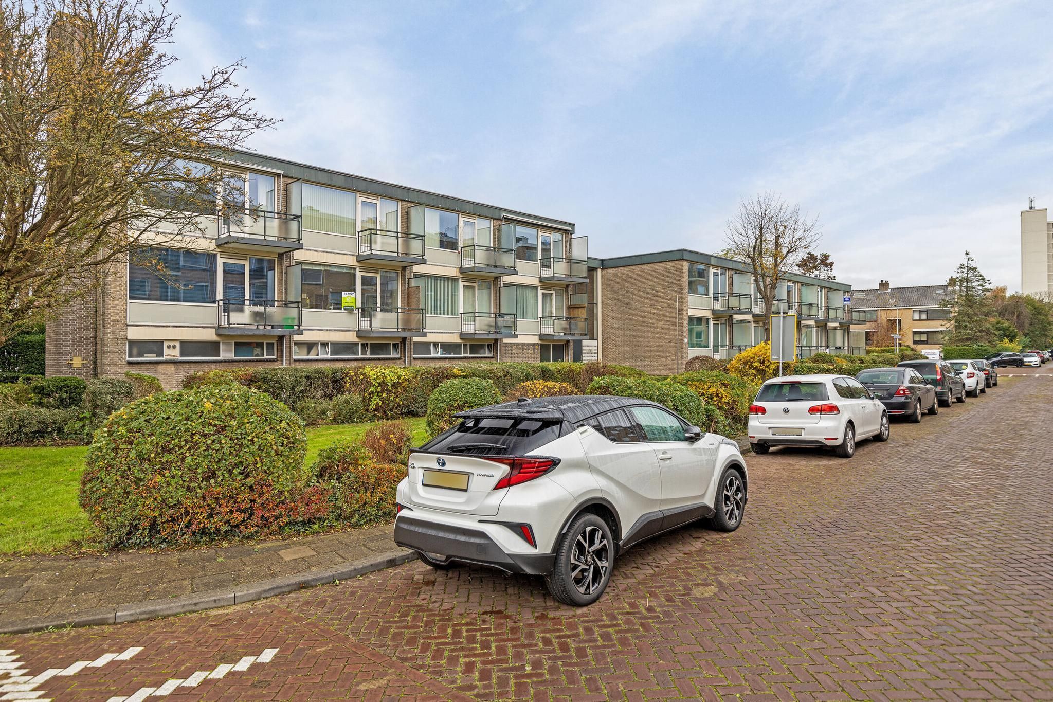 Robertaland 42 Photo 1