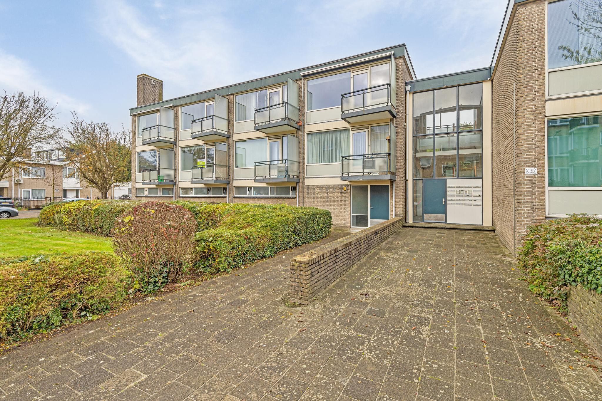 Robertaland 42 Photo 3