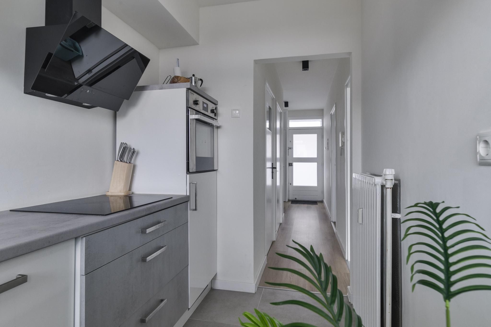 Norenburg 241 Photo 2