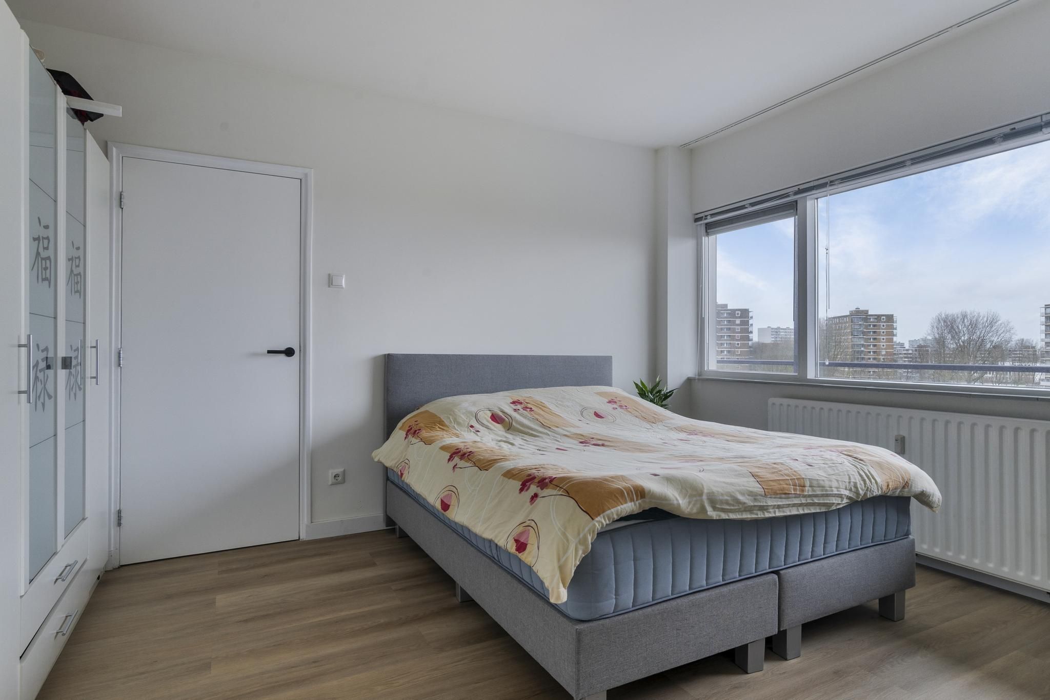 Norenburg 241 Photo 3