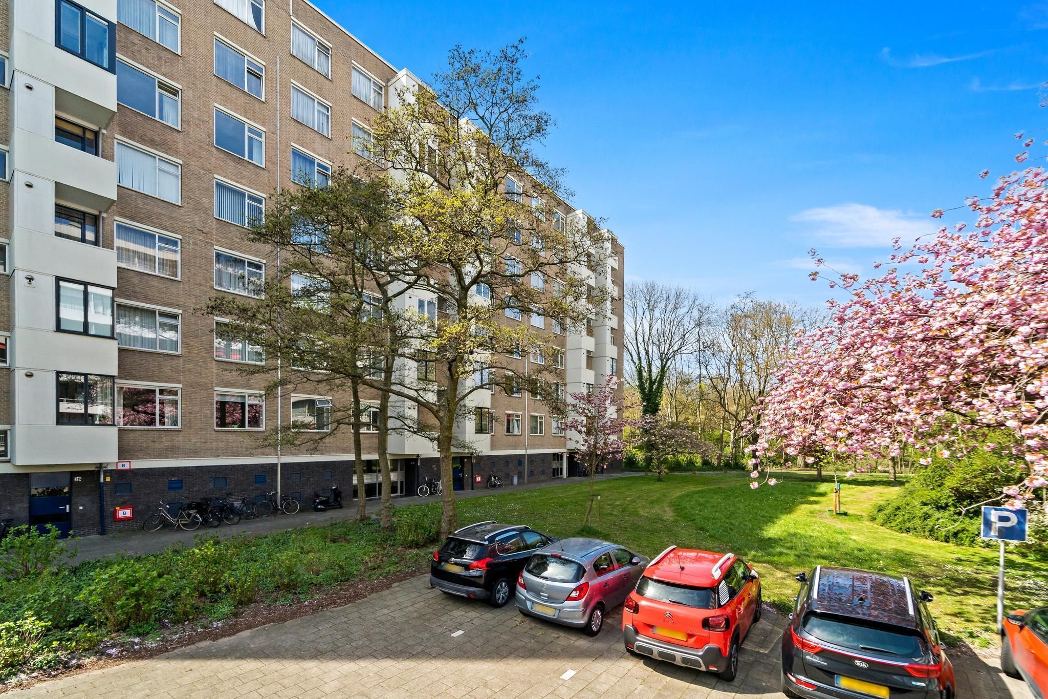 Vlaskamp 480 Photo 4