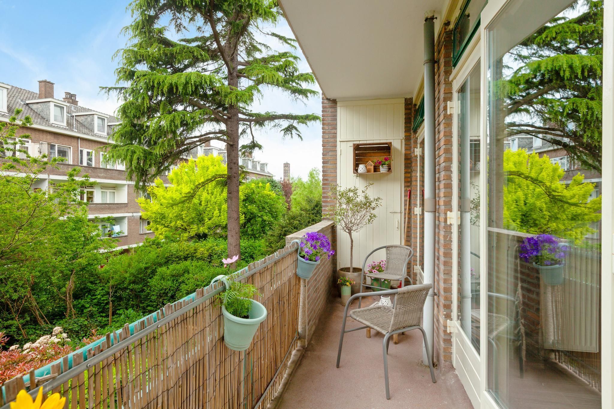 De Carpentierstraat 133 Photo 1