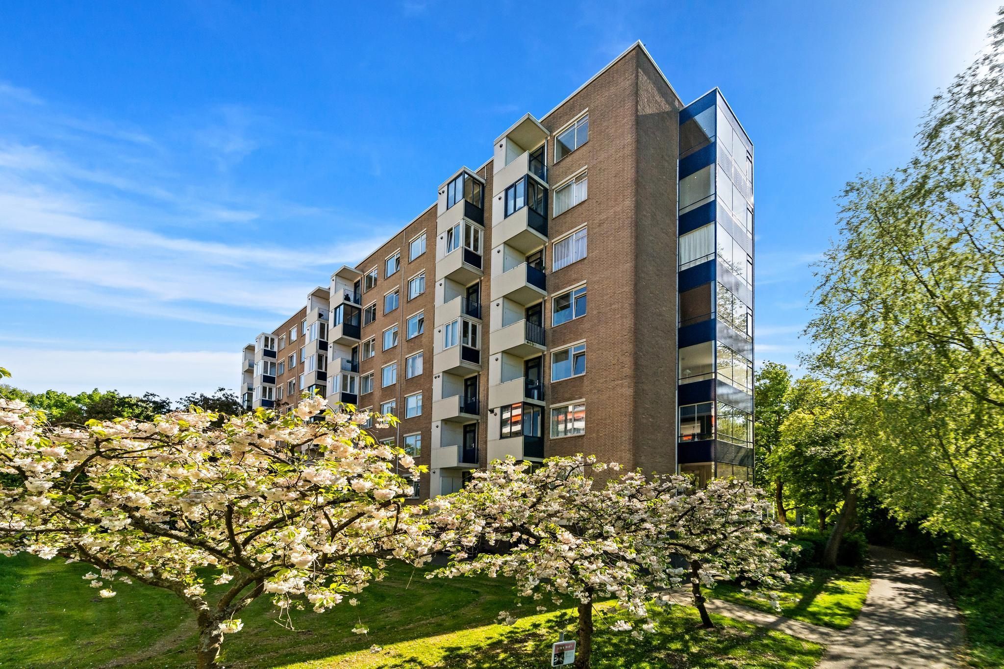 Vlaskamp 136 Photo 2