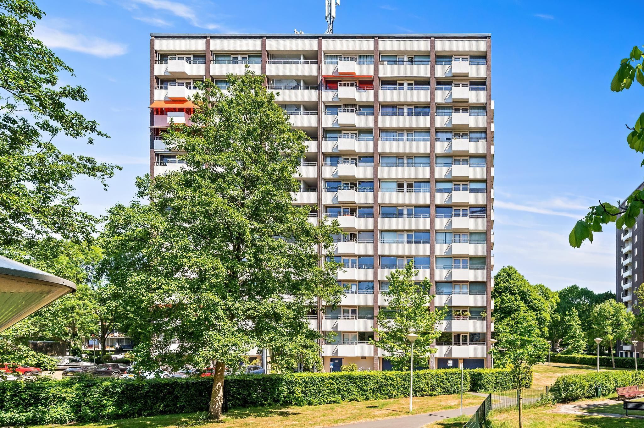 Roggekamp 267 Photo 0