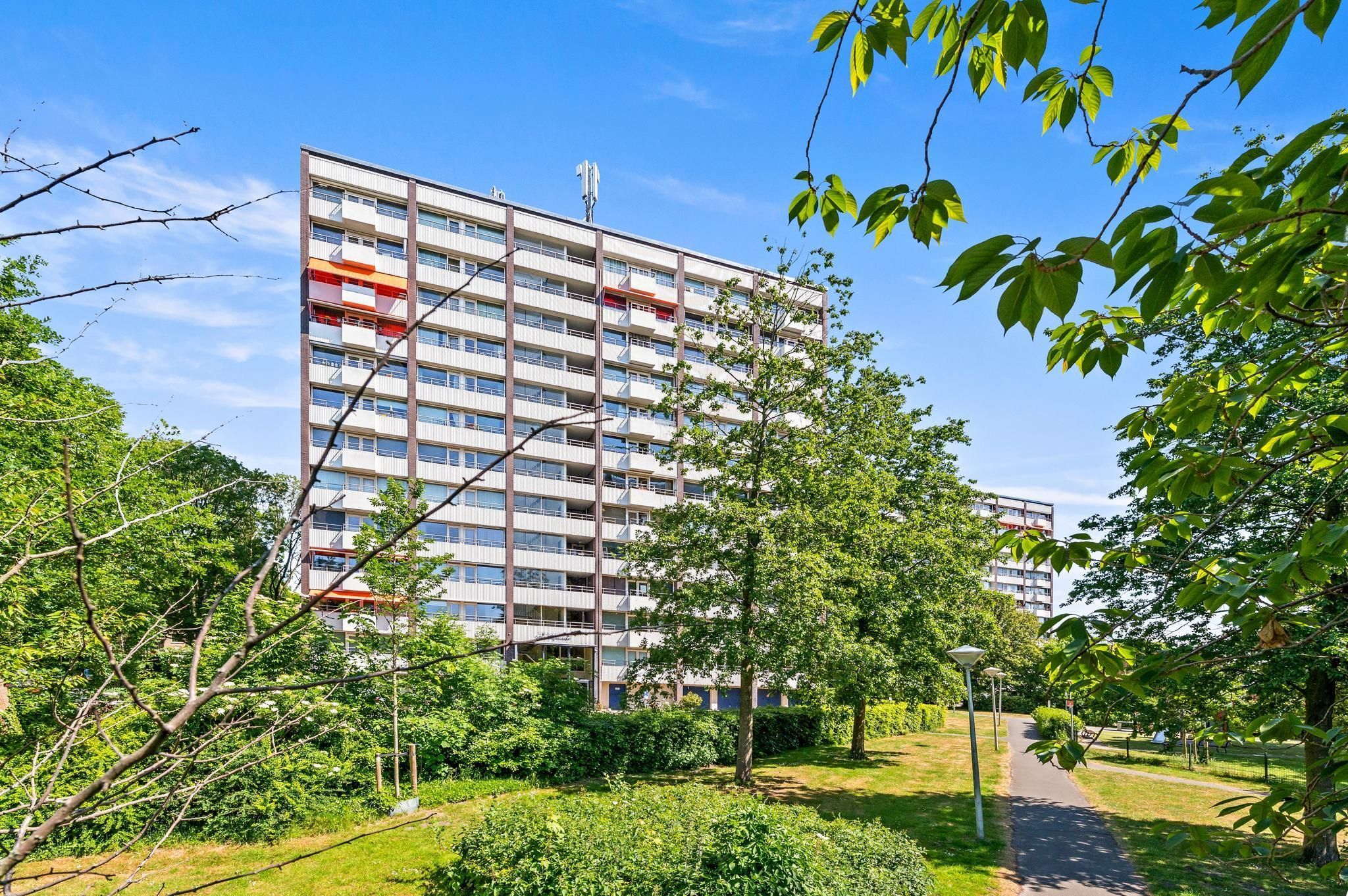 Roggekamp 267 Photo 2