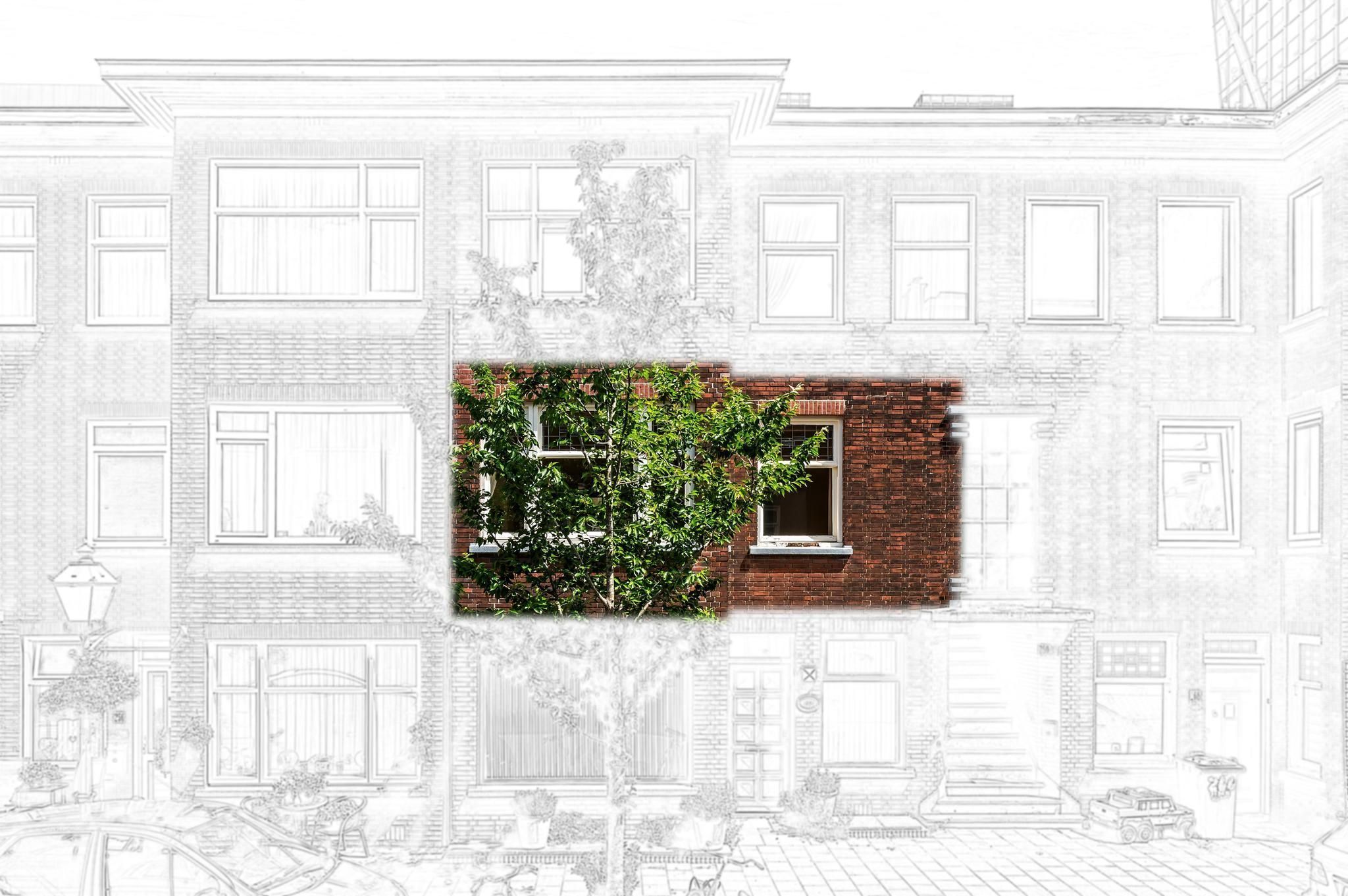 Van den Boschstraat 260 Photo 2