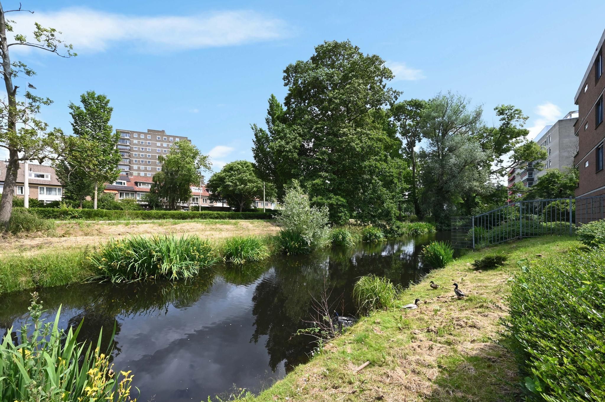 Zwedenburg 370 Photo 0