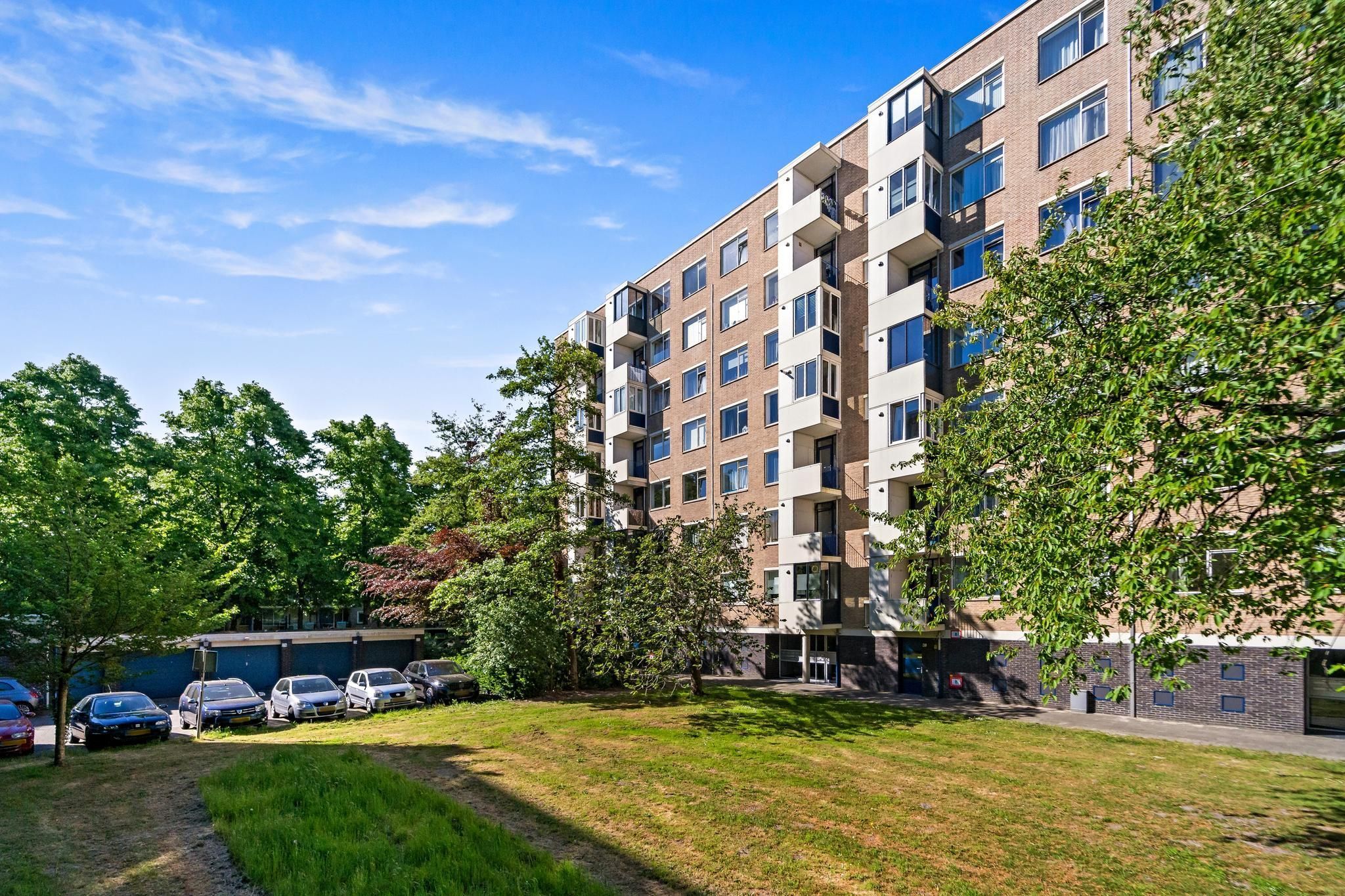 Vlaskamp 224 Photo 0