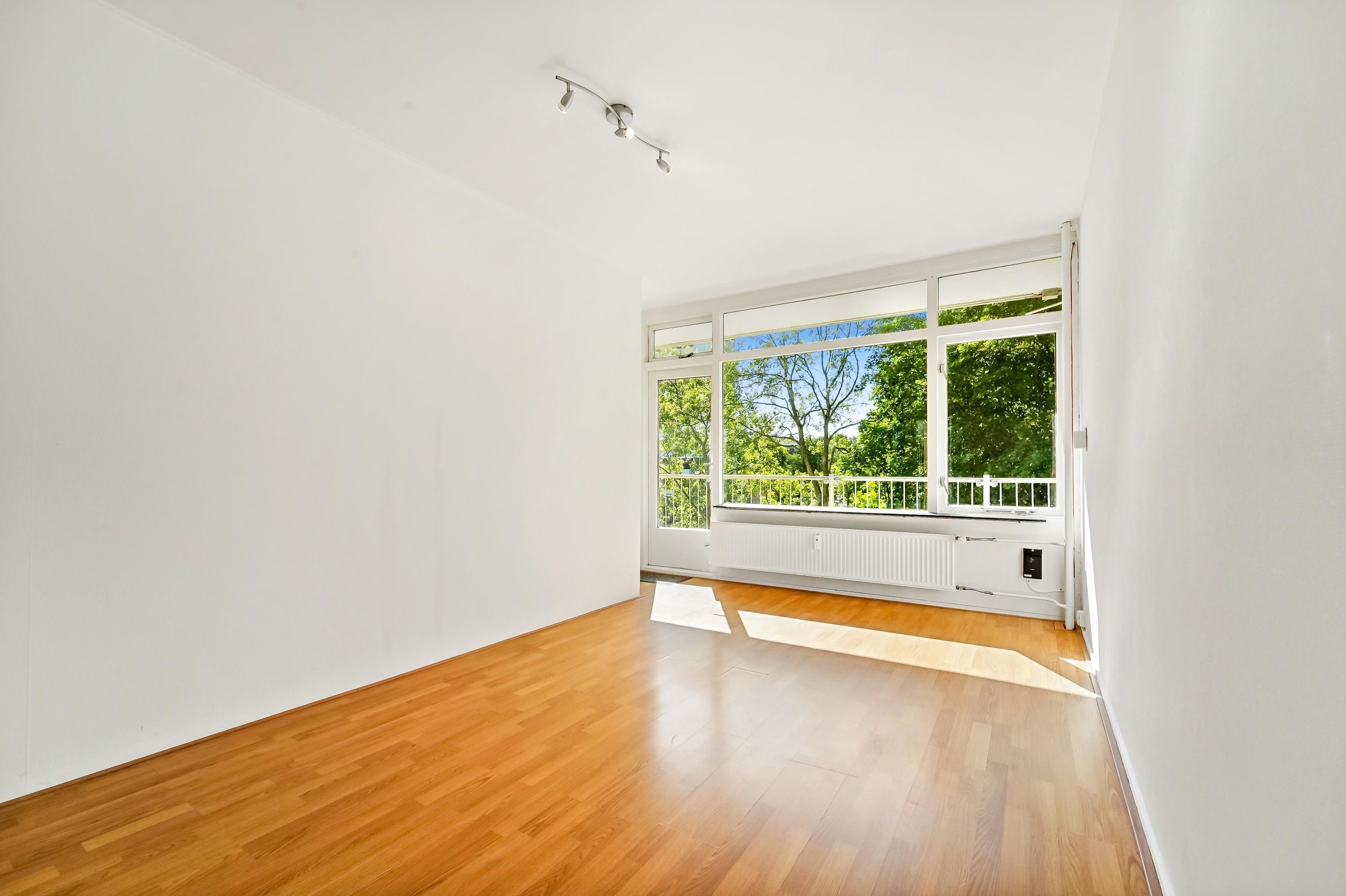 Elviraland 194 Photo 0