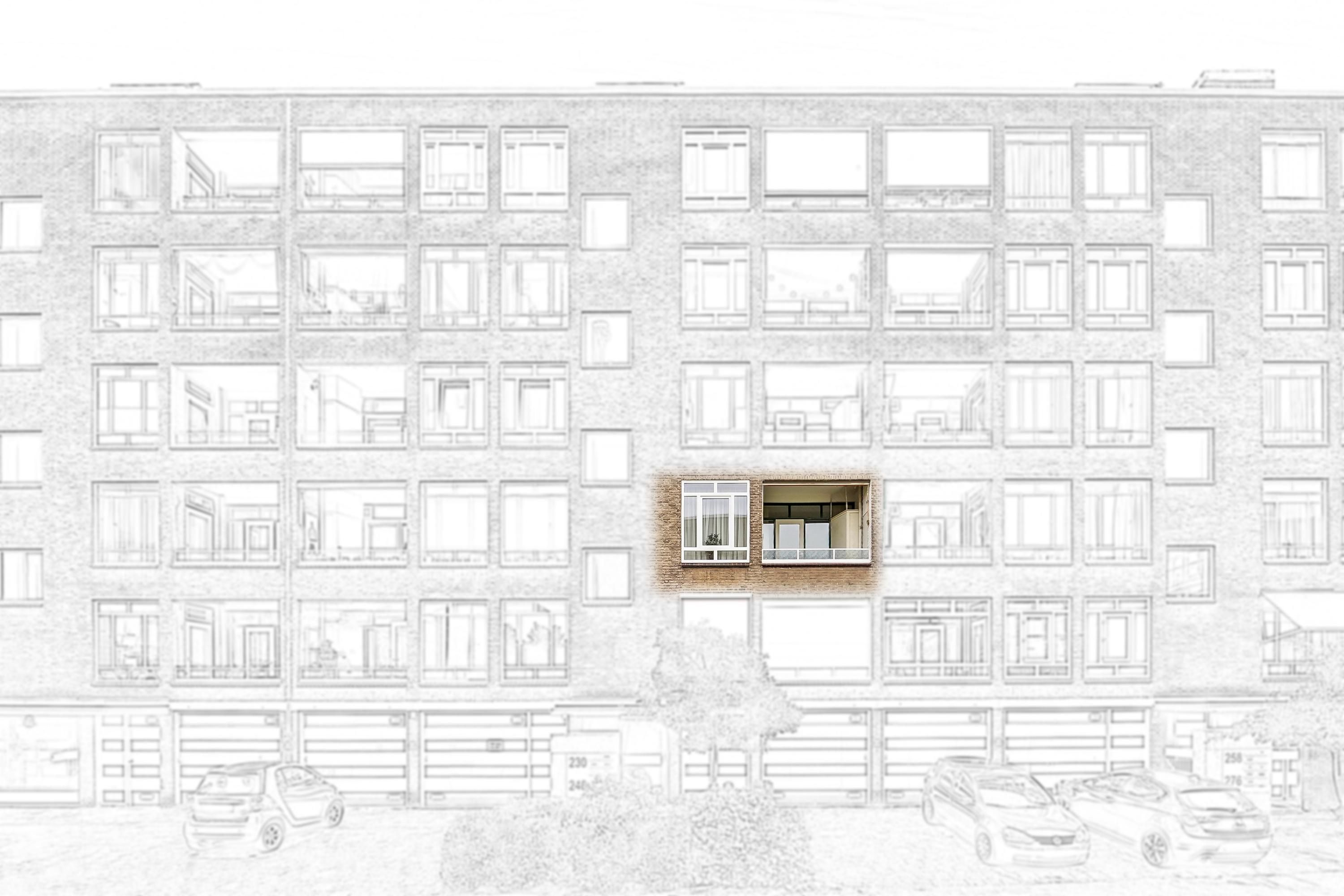 Parelmoerhorst 242 Photo 4