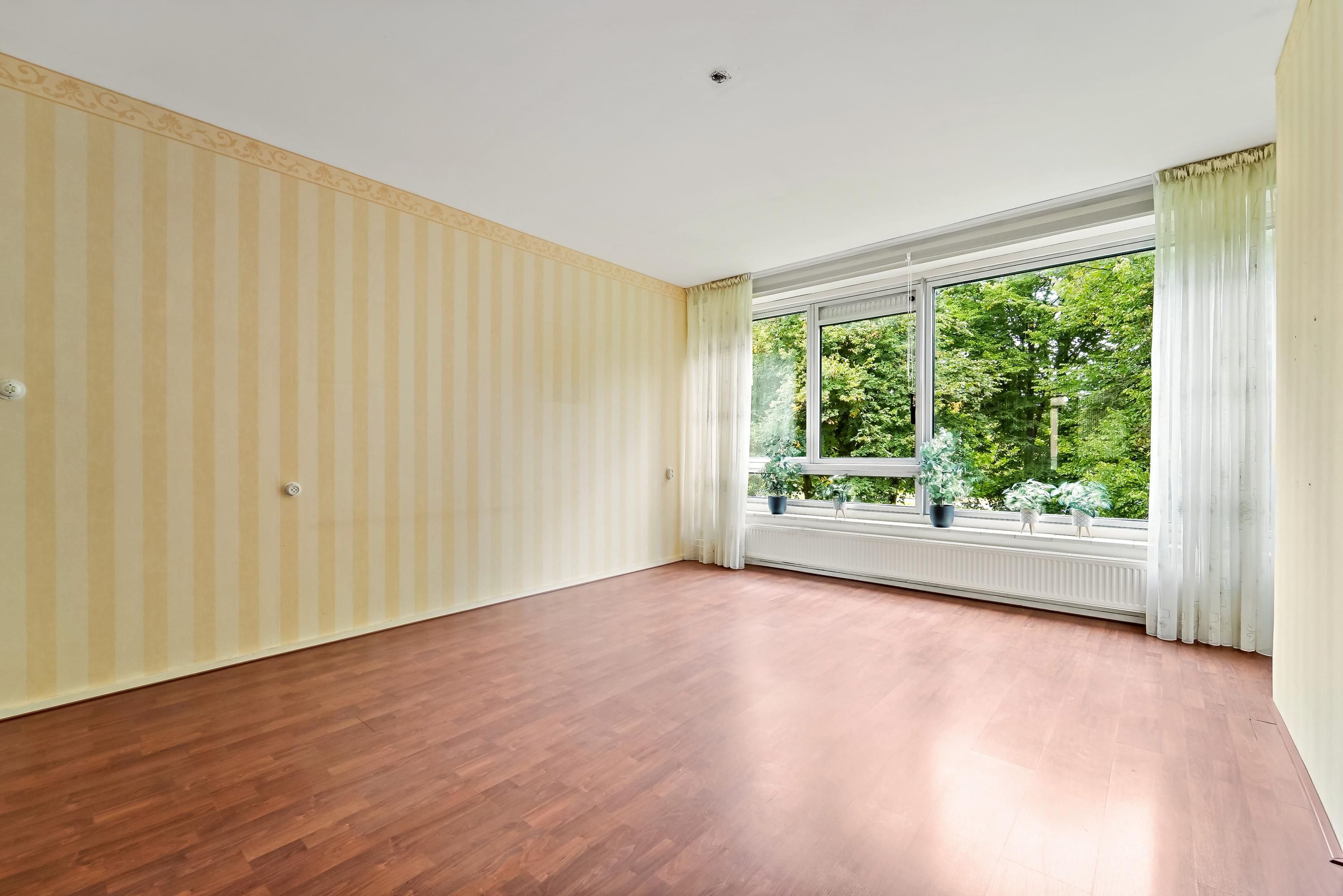 Parelmoerhorst 242 Photo 0