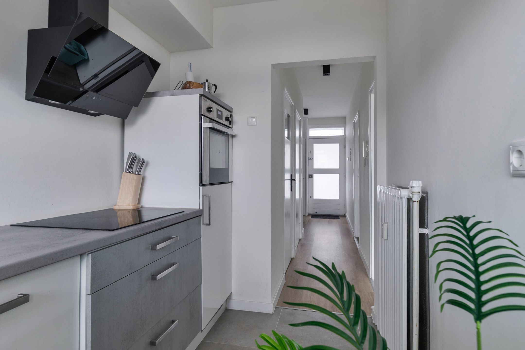 Norenburg 241 Photo 1