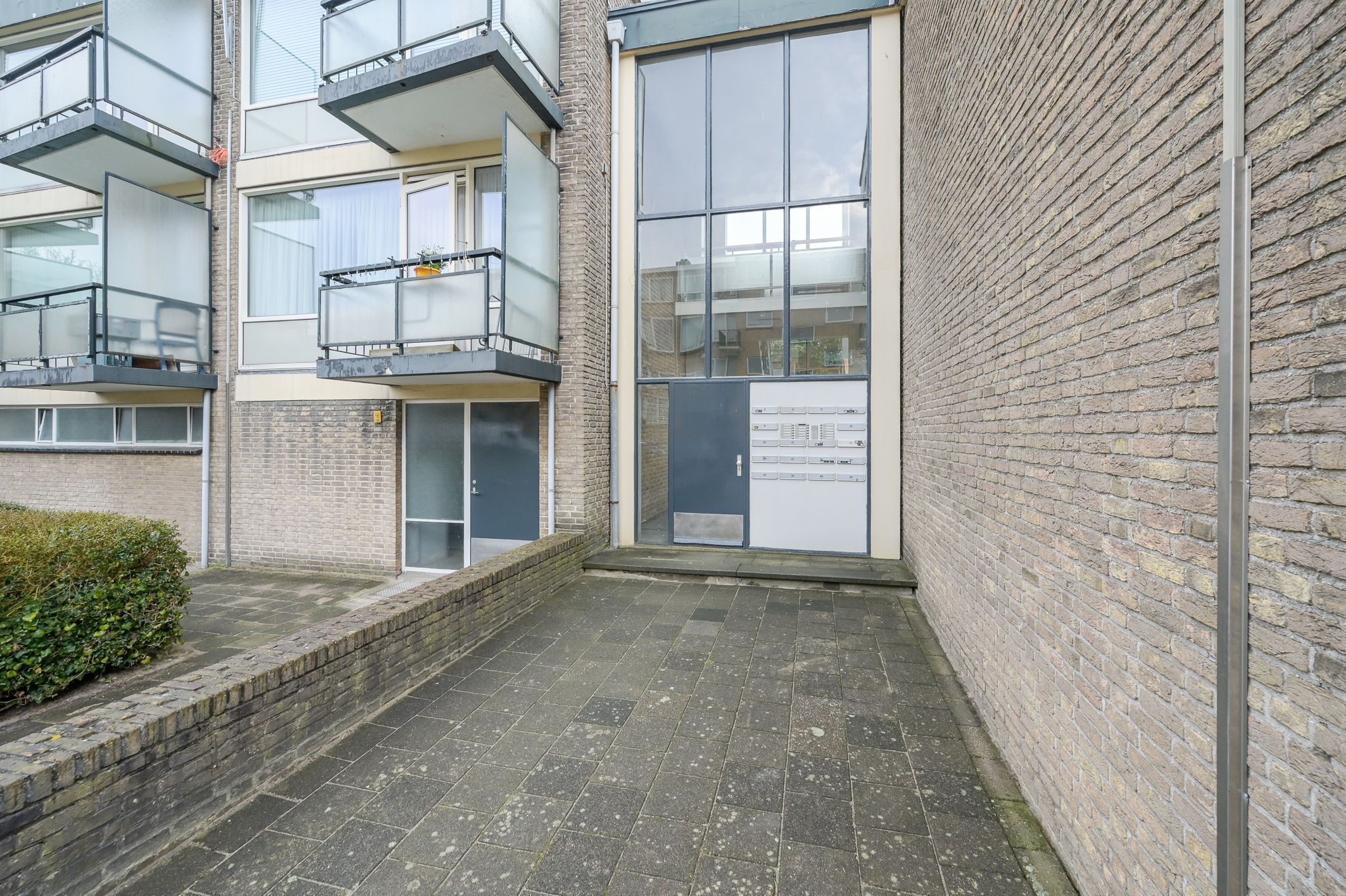 Robertaland 38 Photo 4