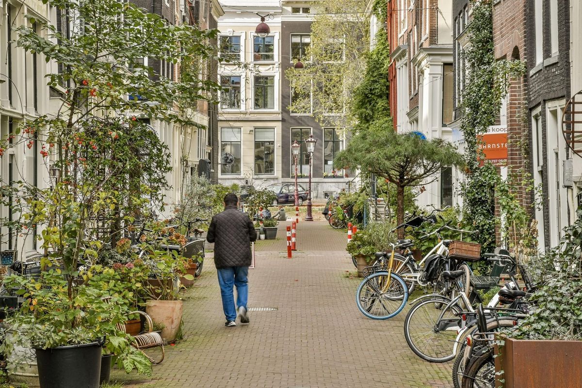Singel 50-B Photo Blur 25