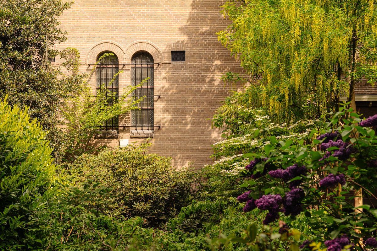 Johannes Verhulststraat 48 Photo Blur 11