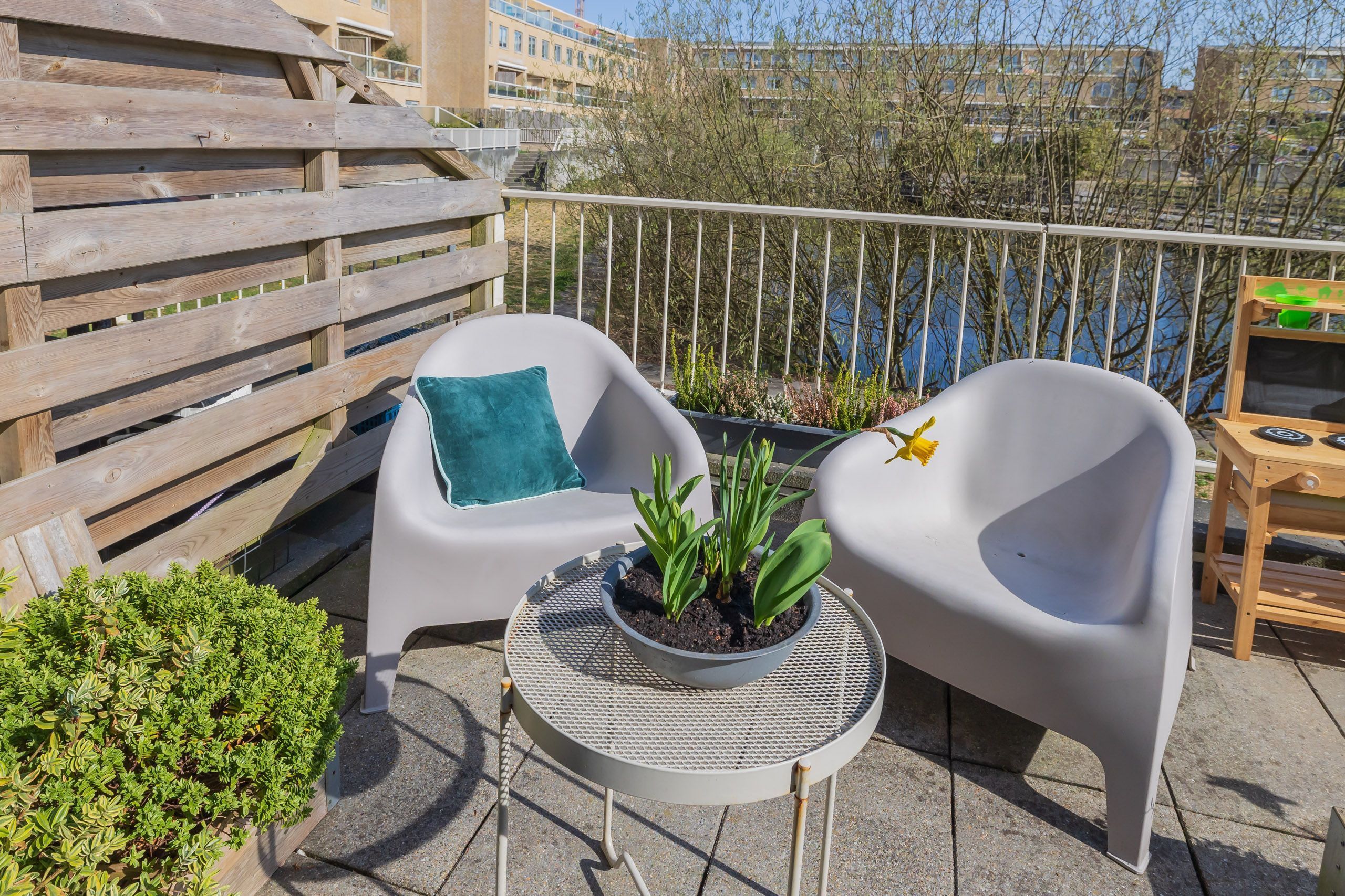 Kromboomsveld 35 Photo Blur 10