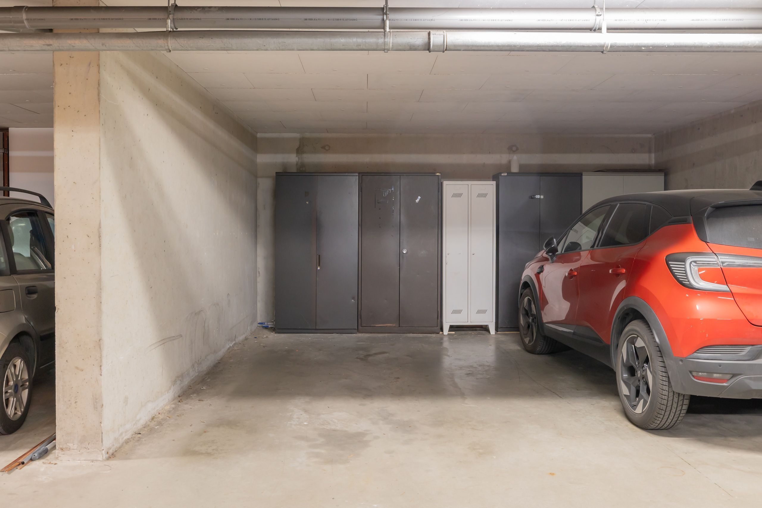 Kromboomsveld 35 Photo Blur 36