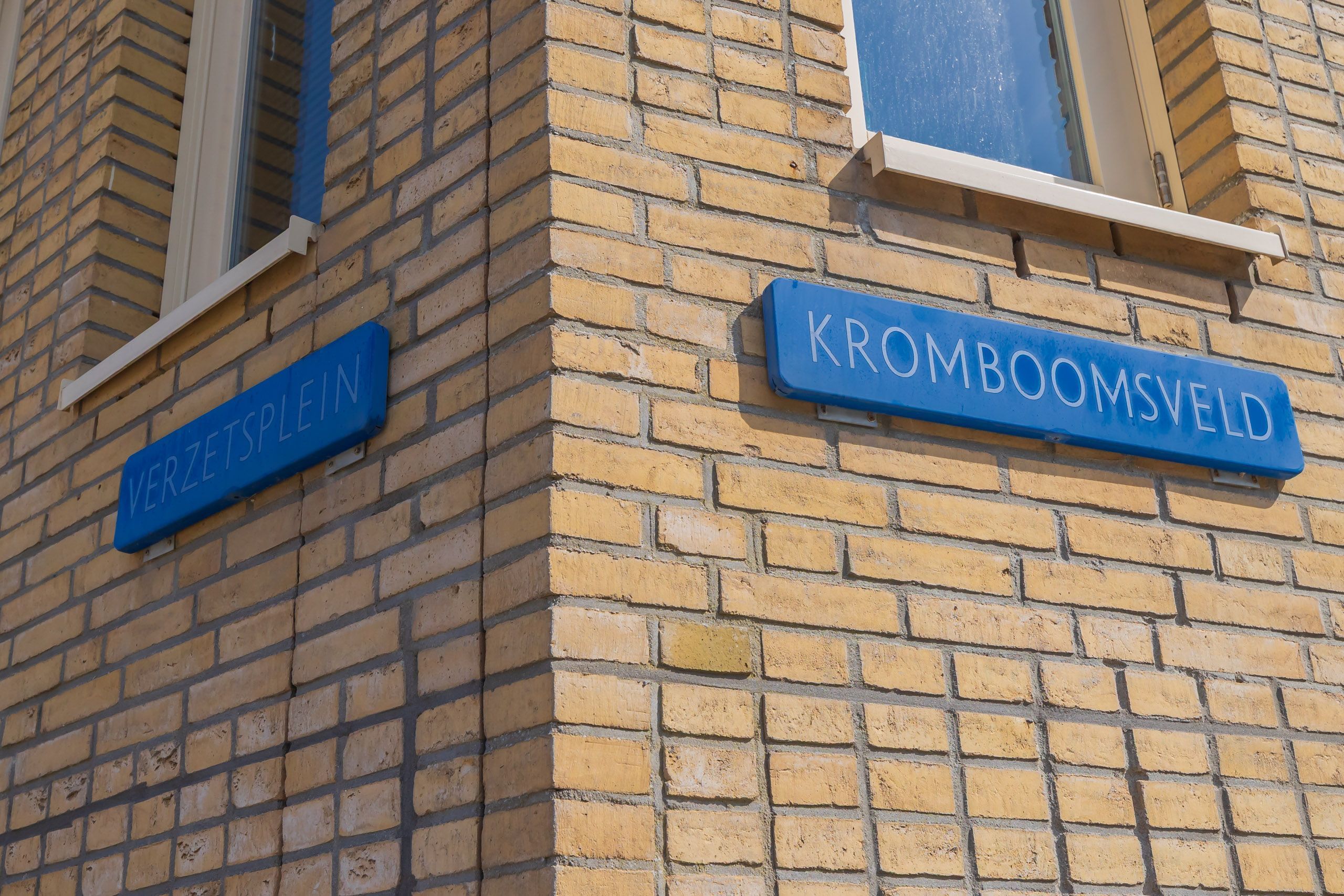 Kromboomsveld 35 Photo Blur 38