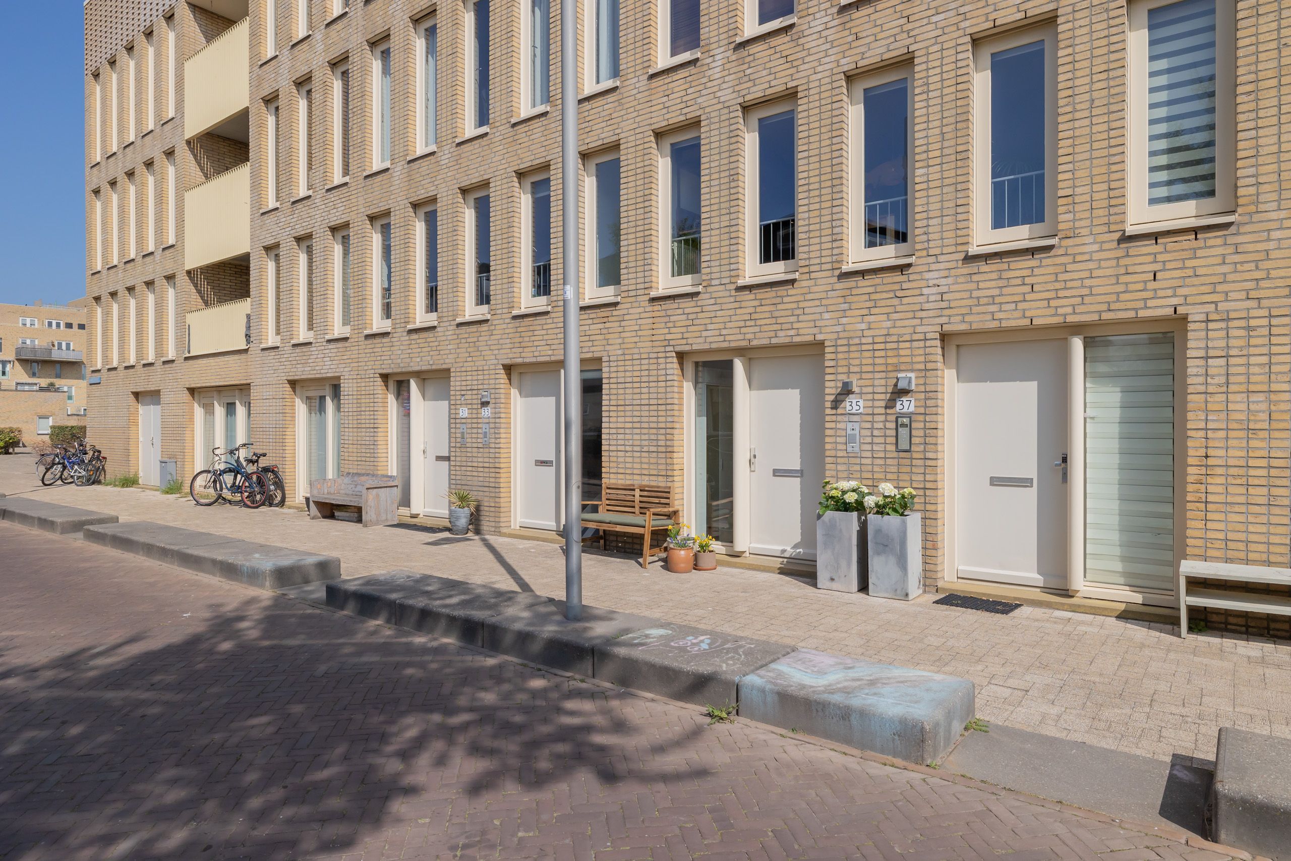 Kromboomsveld 35 Photo Blur 39