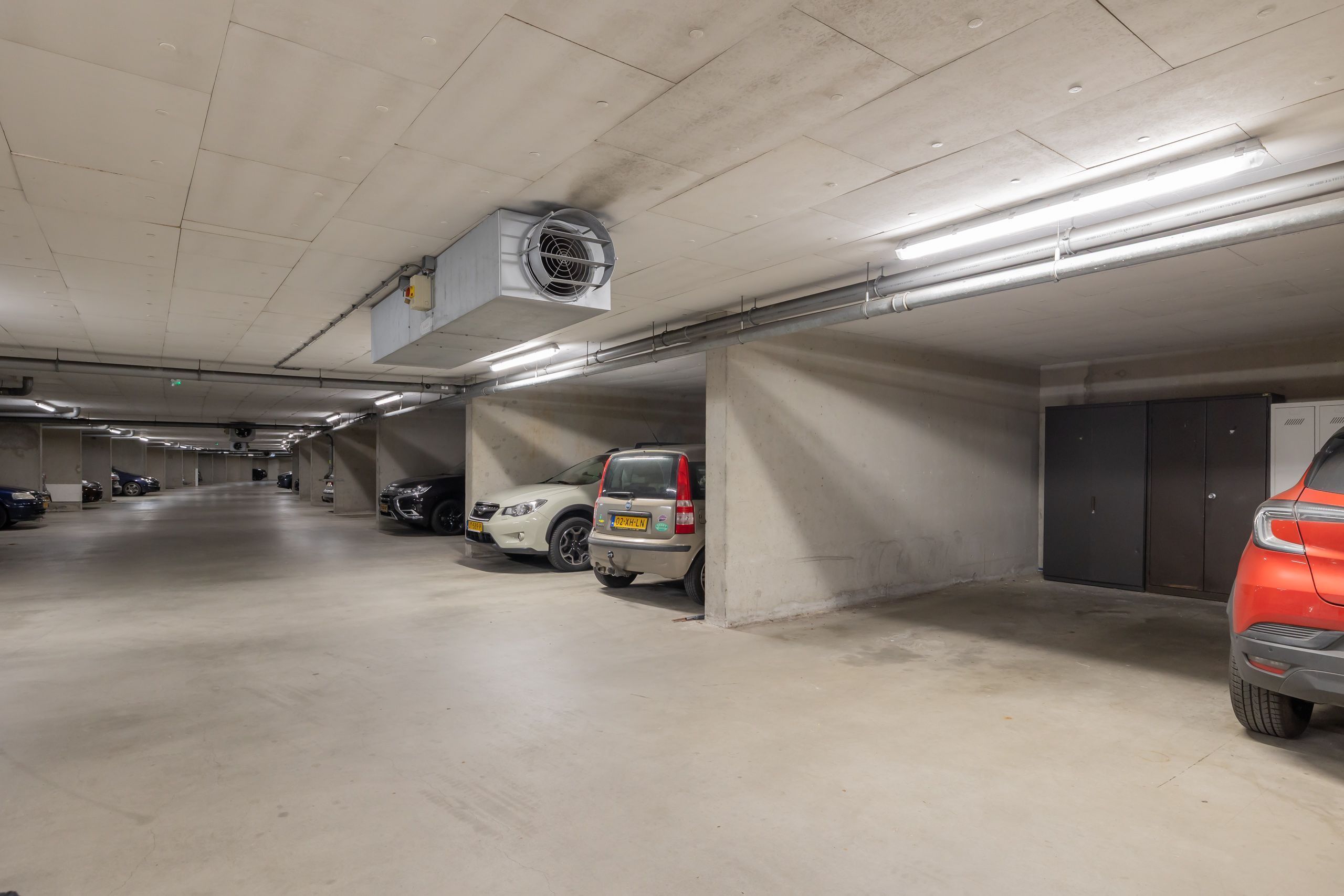 Kromboomsveld 35 Photo Blur 37