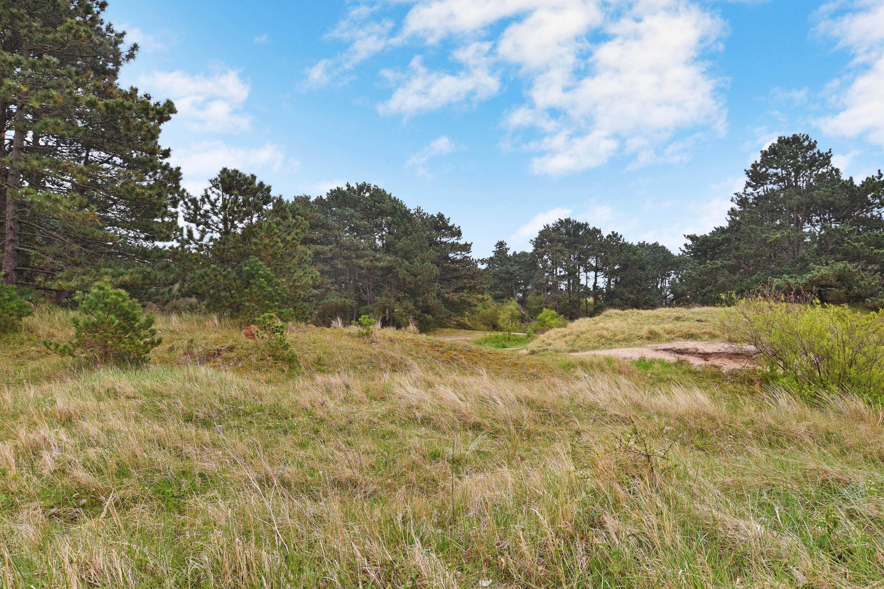 Thorbeckestraat 38 Photo Blur 60