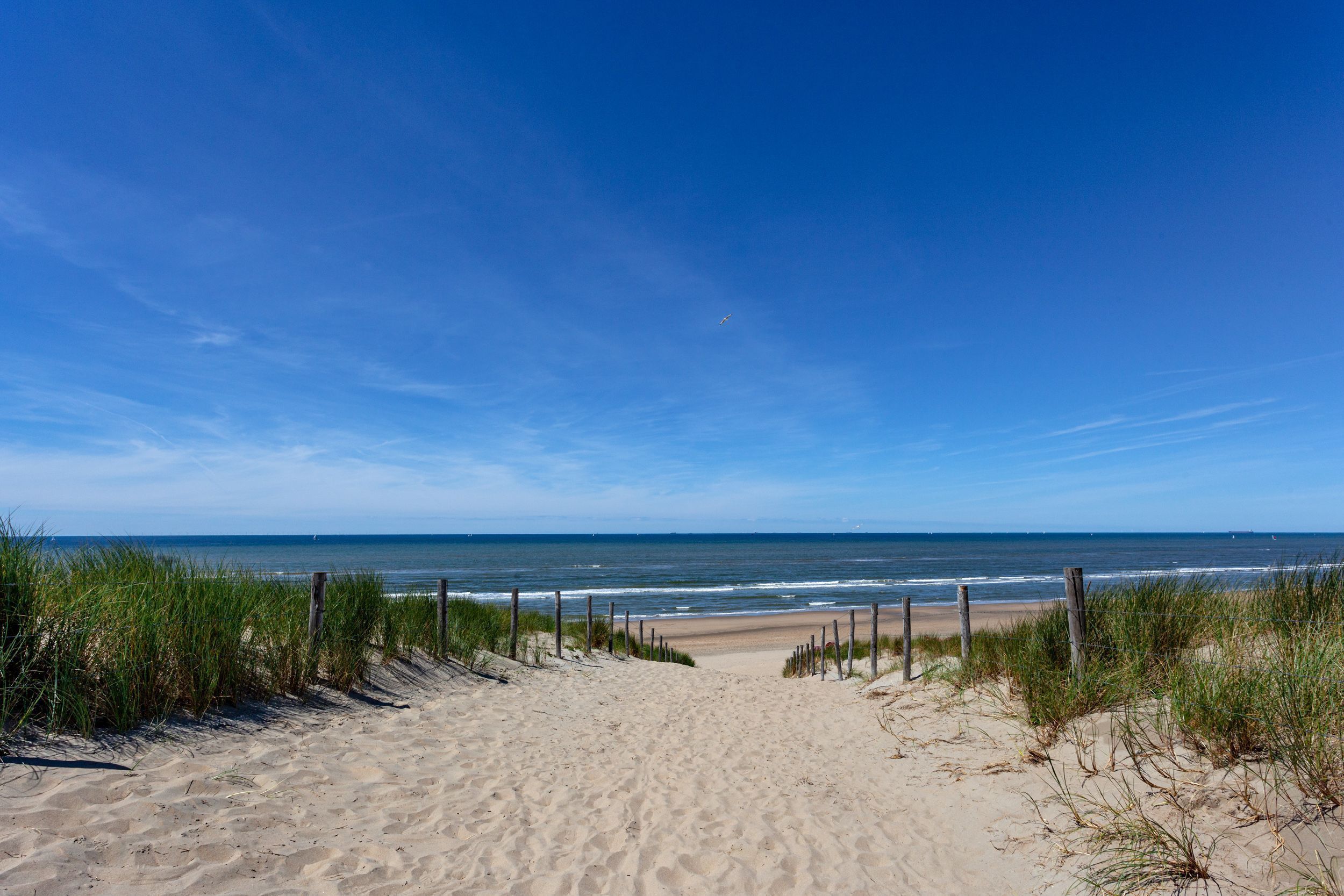 Burgemeester Engelbertsstraat 62 Photo Blur 60