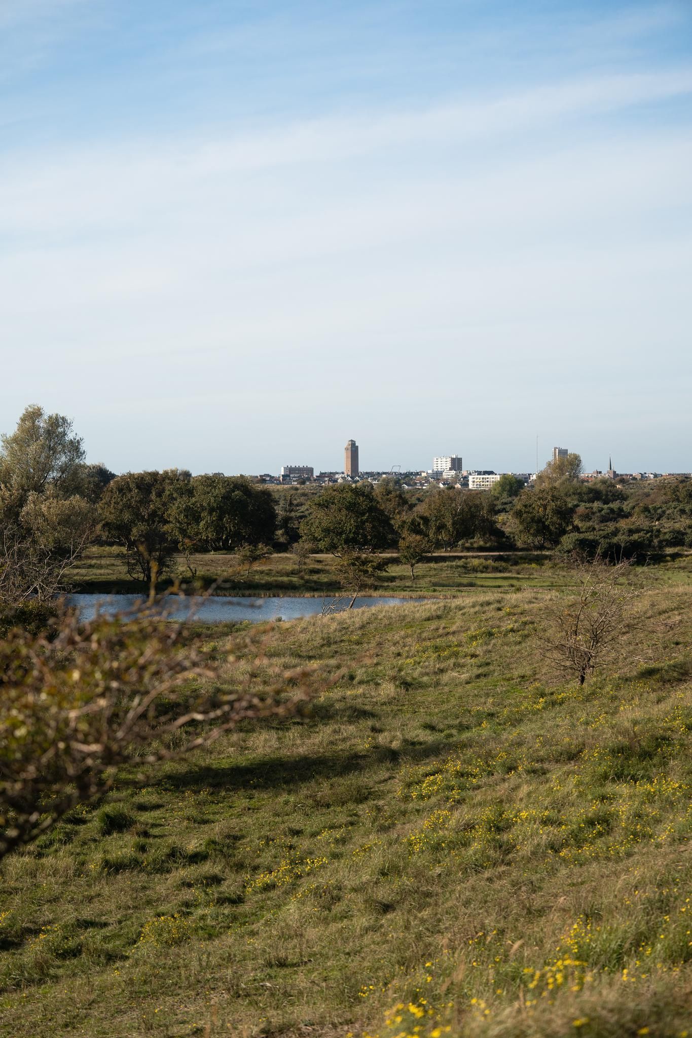 De Nieuwe Watertoren Photo Blur 16