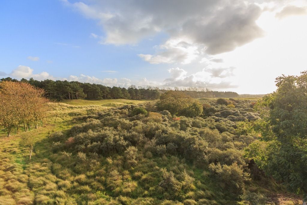 Hogeweg 54-F 1 Photo Blur 33