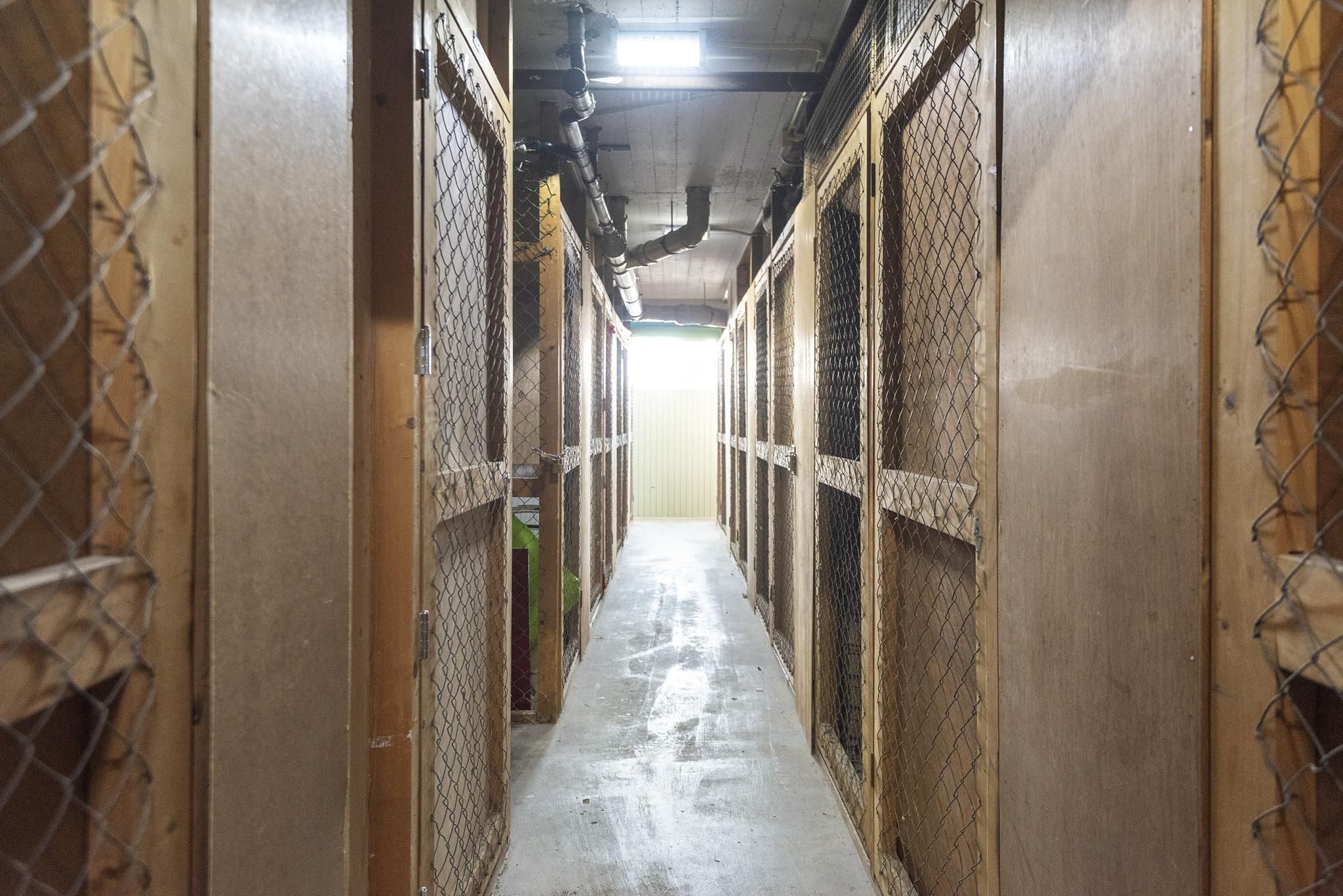 de Favaugeplein 21-F 52 Photo Blur 22