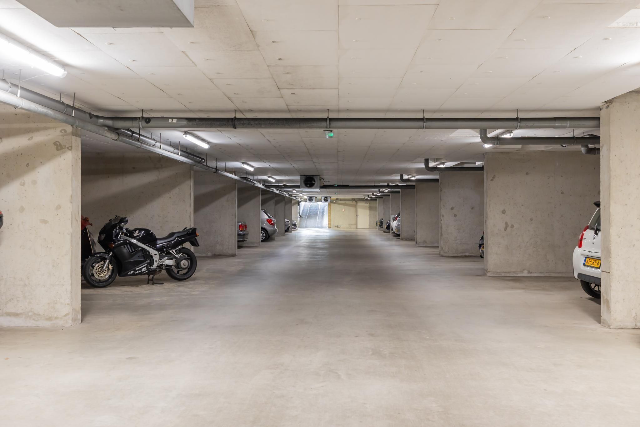 Kromboomsveld 43 Photo Blur 3