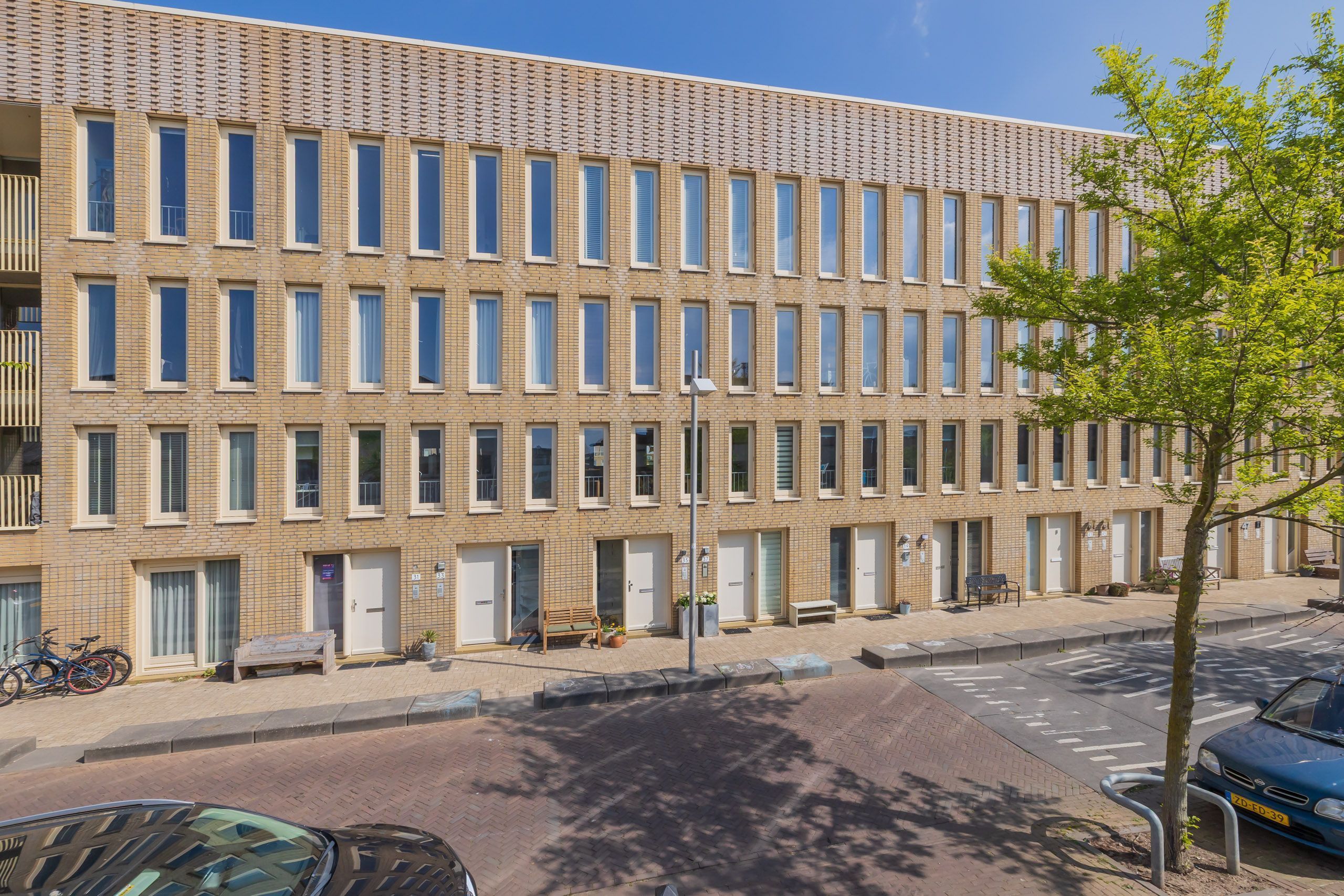 Kromboomsveld 43 Photo Blur 30