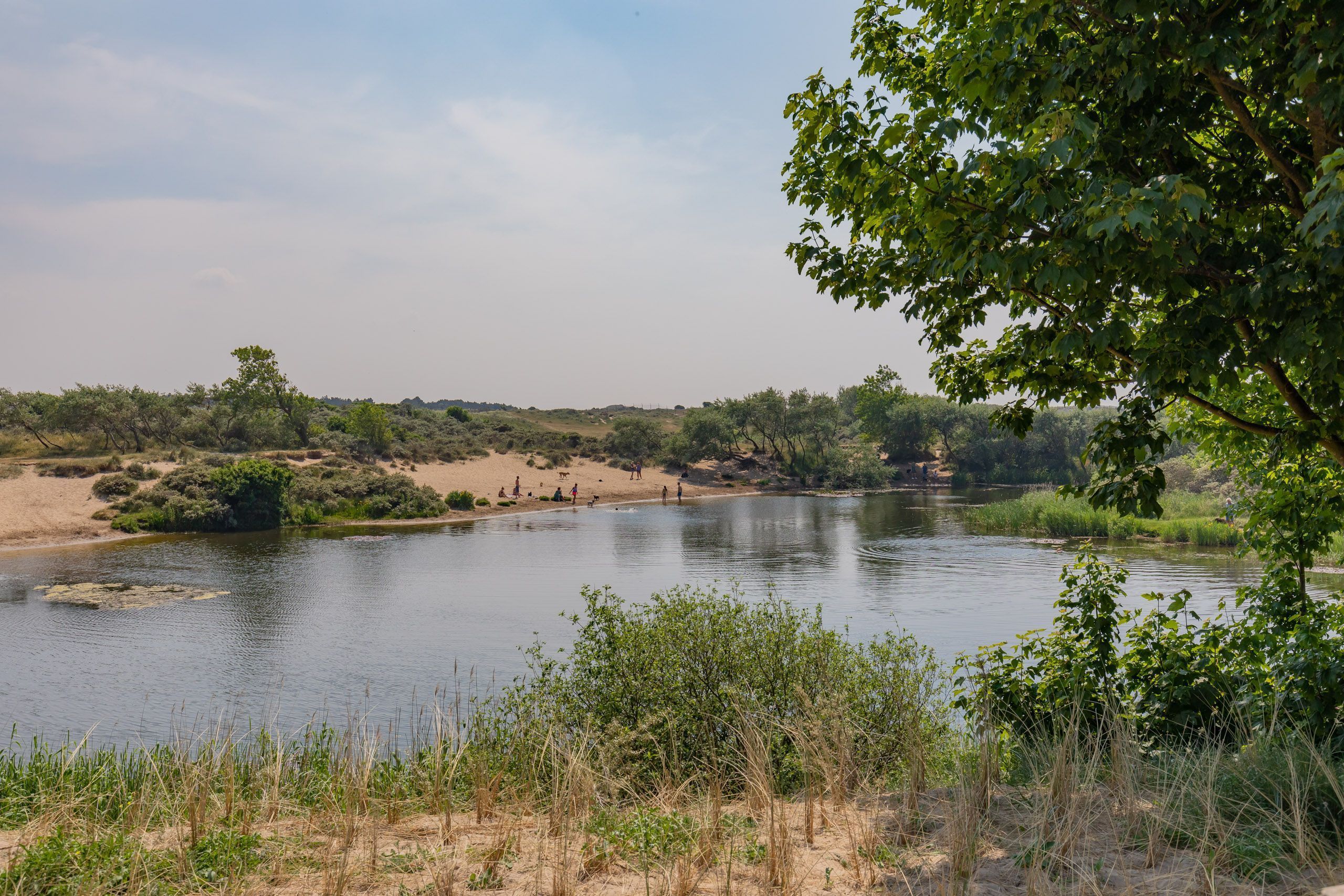 Burgemeester van Fenemaplein 2-a 0703 Photo Blur 26