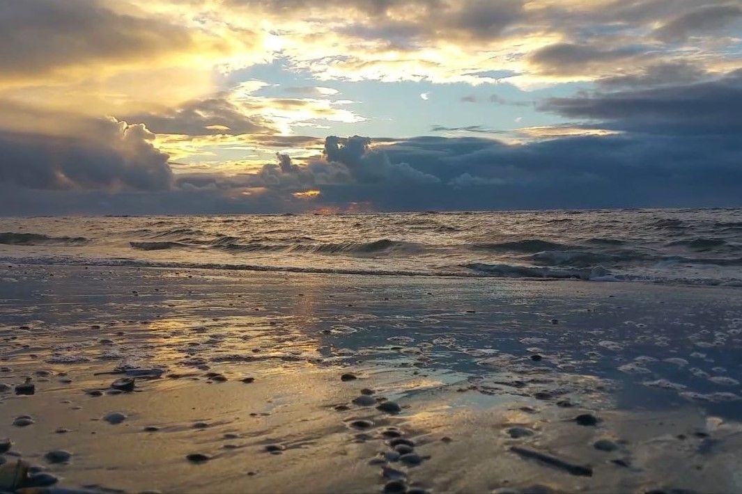 Burgemeester van Fenemaplein 2-a 1502 Photo Blur 32