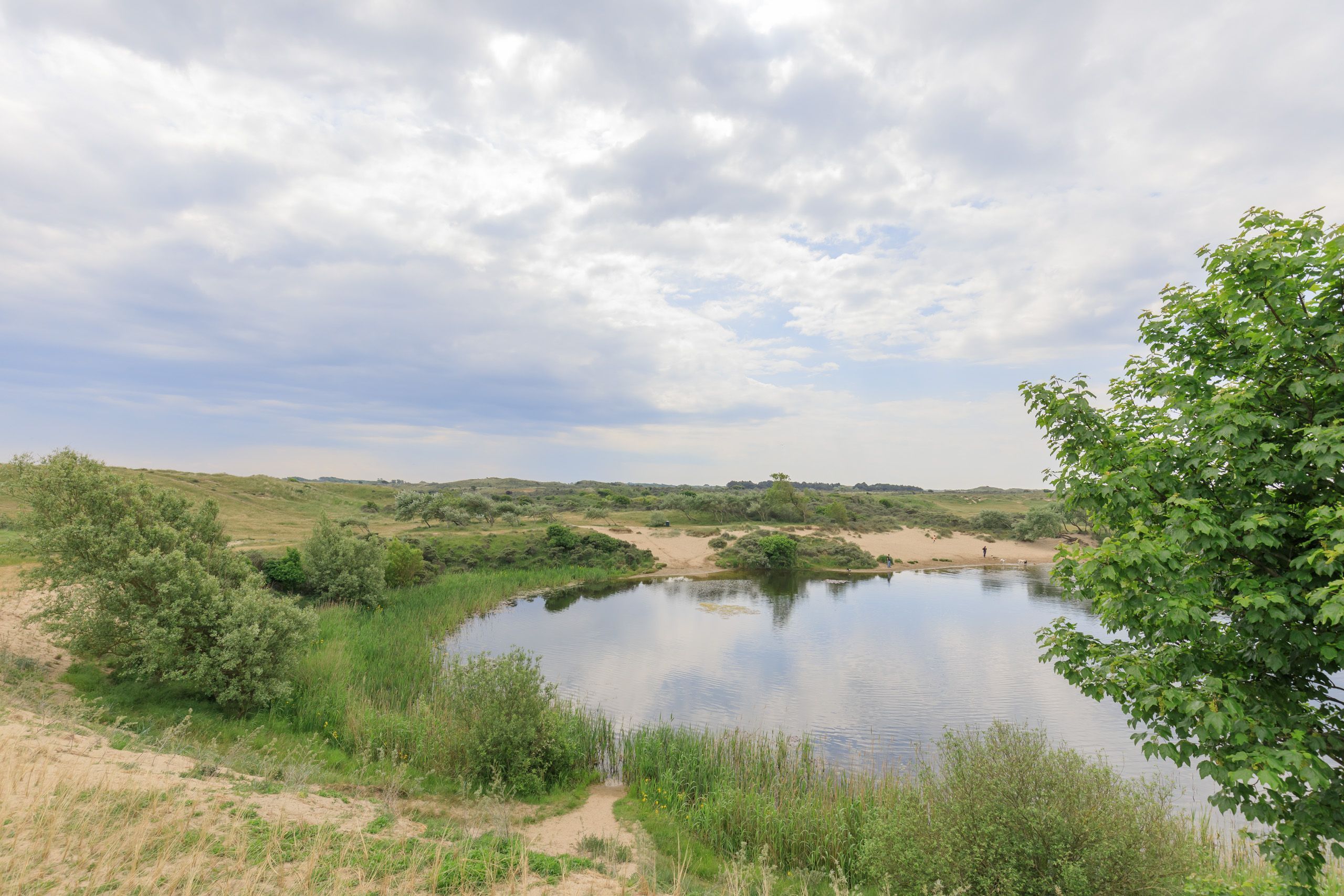 van Galenstraat 16 Photo Blur 26