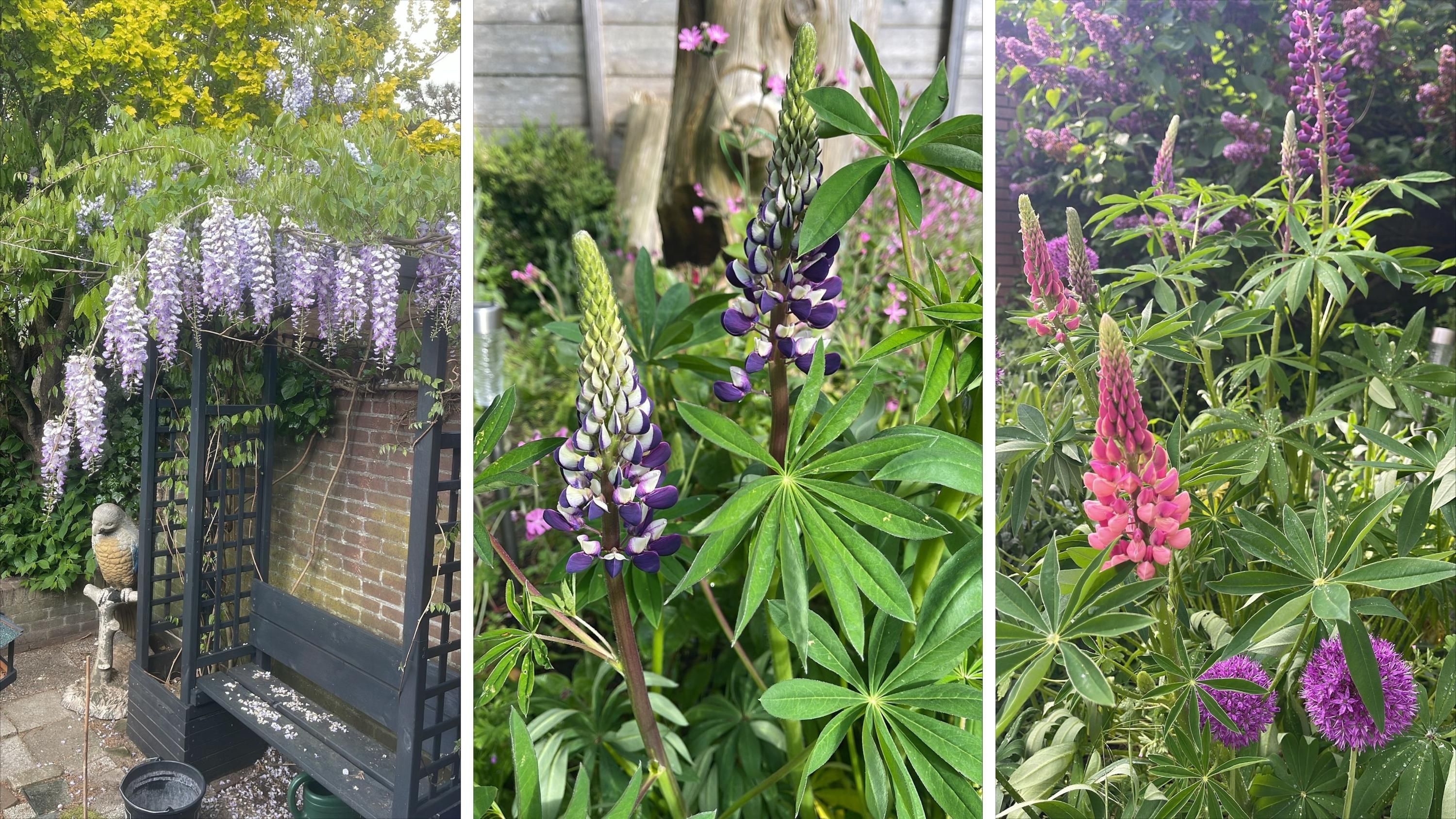 Zandvoortselaan 131 Photo Blur 24