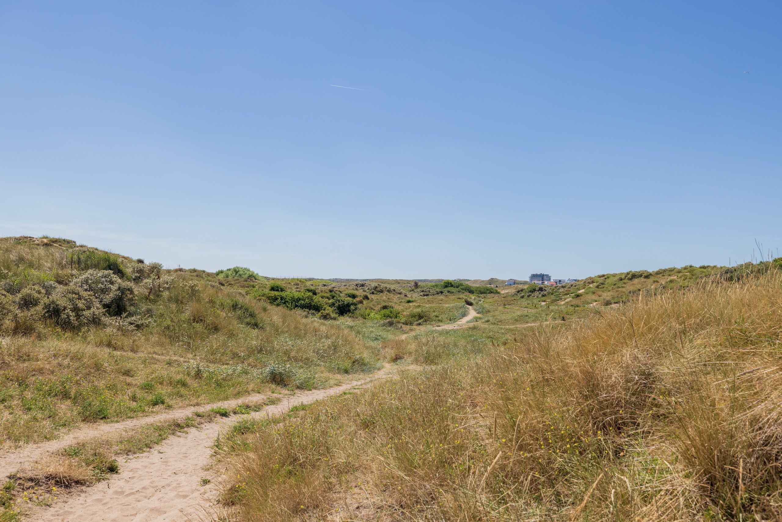 Cort van der Lindenstraat 2-F 28 Photo Blur 39