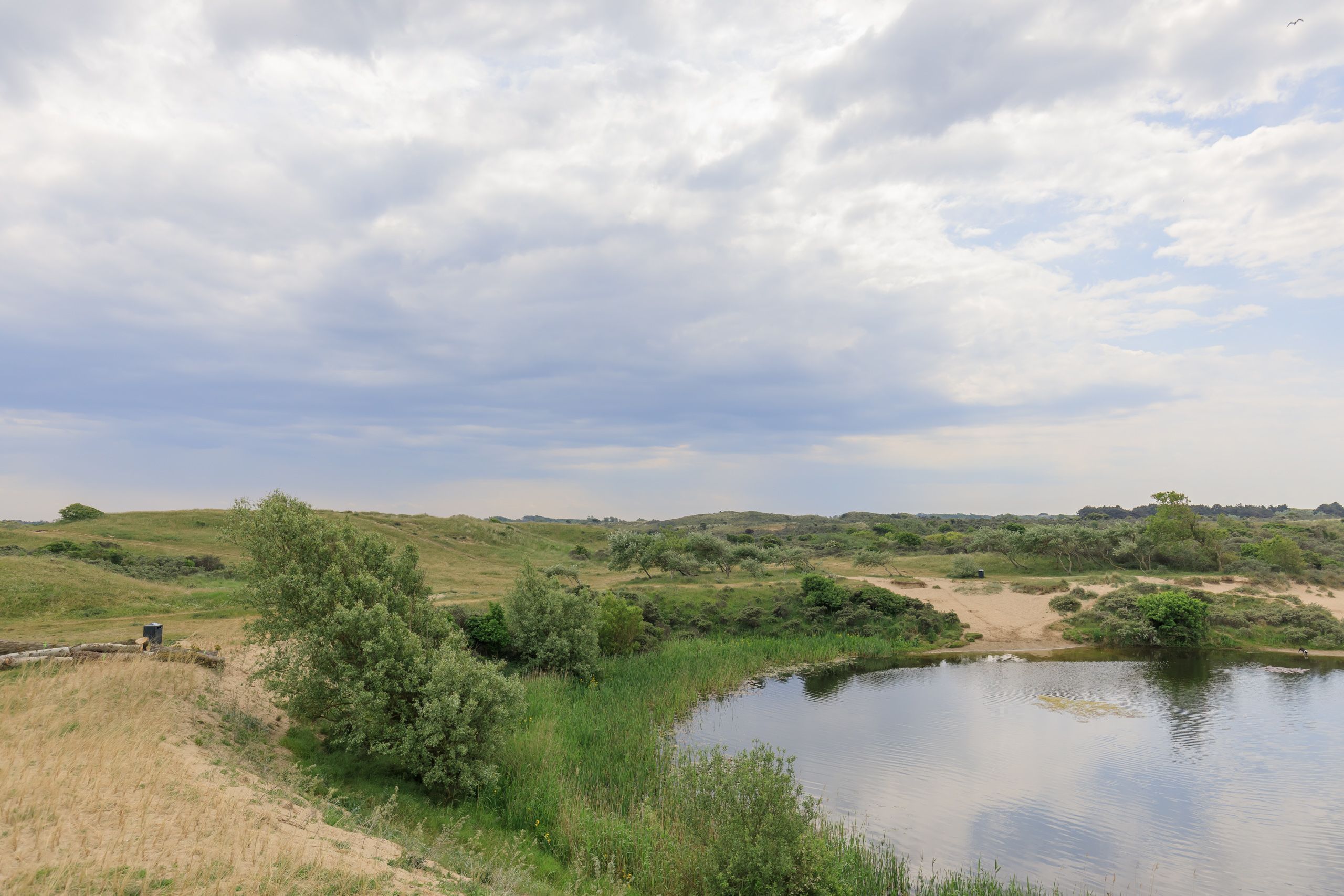 Koninginneweg 18 Photo Blur 33