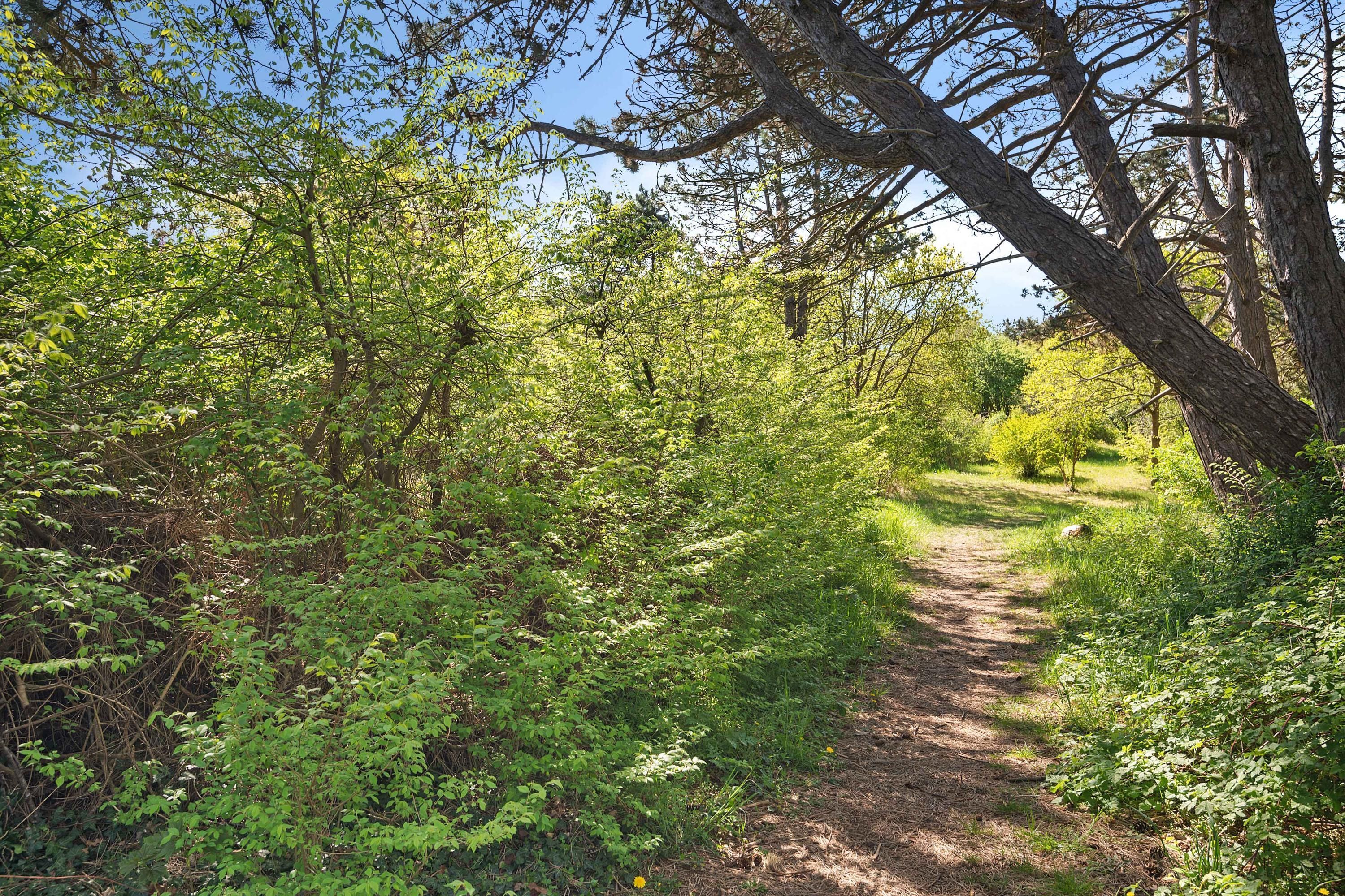 Jhr. P.N. Quarles van Uffordlaan 1-a21 Photo Blur 21