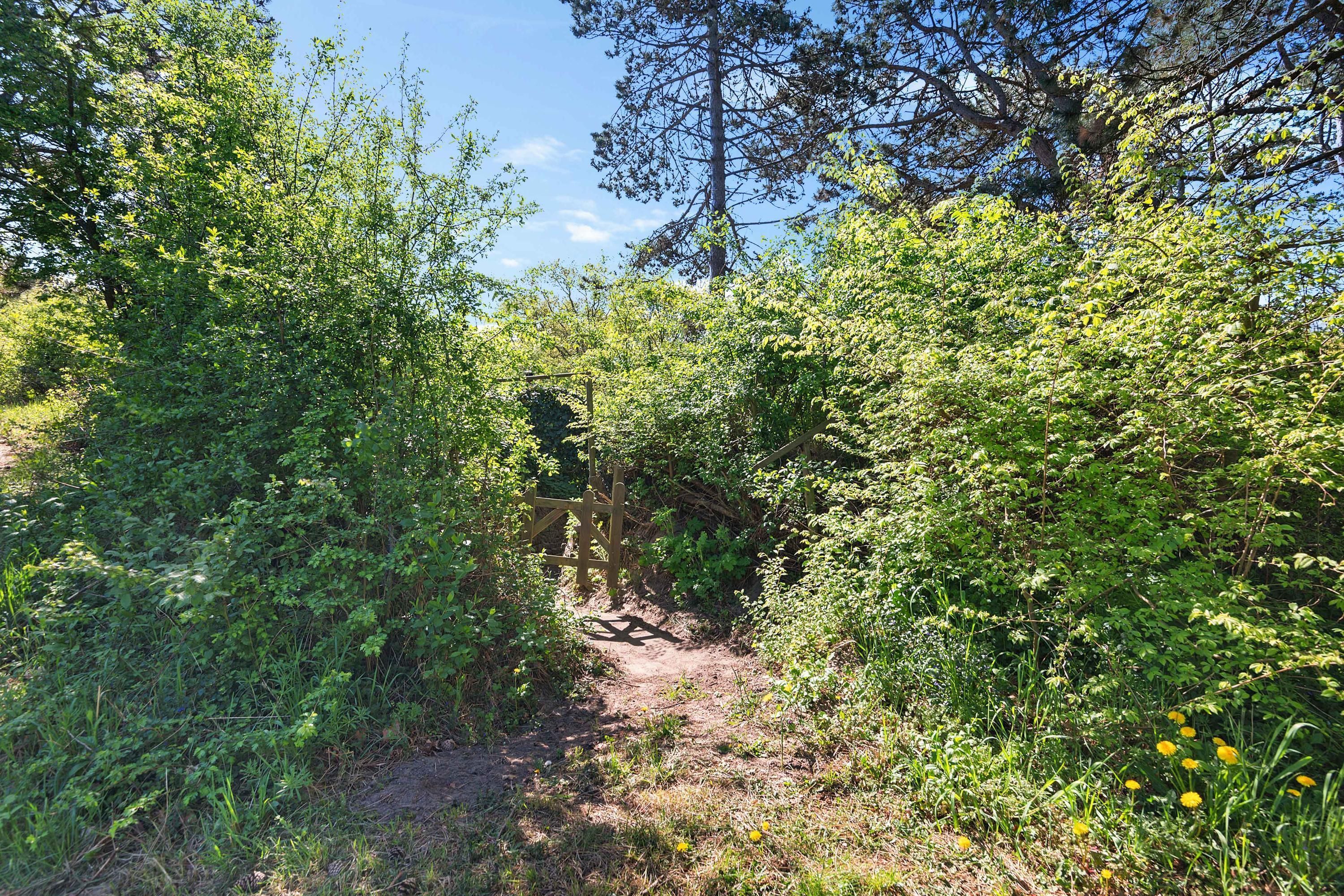 Jhr. P.N. Quarles van Uffordlaan 1-a21 Photo Blur 25