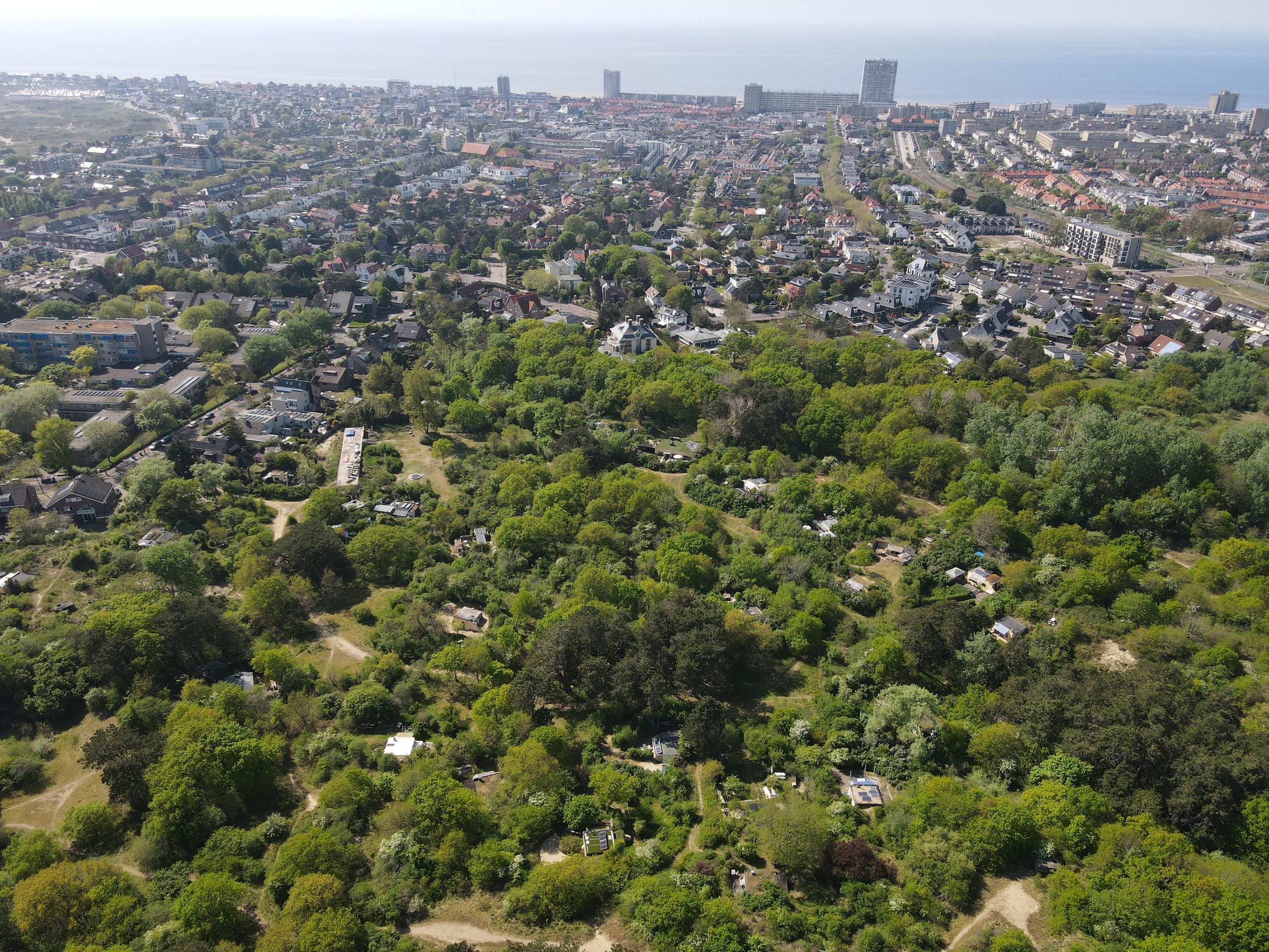 Jhr. P.N. Quarles van Uffordlaan 1-a21 Photo Blur 28