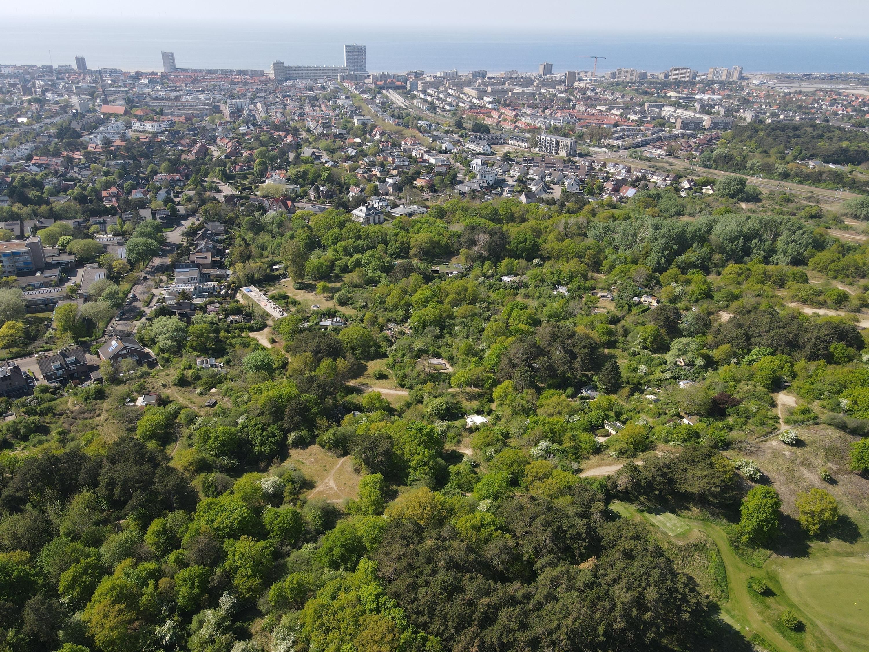 Jhr. P.N. Quarles van Uffordlaan 1-a21 Photo Blur 29