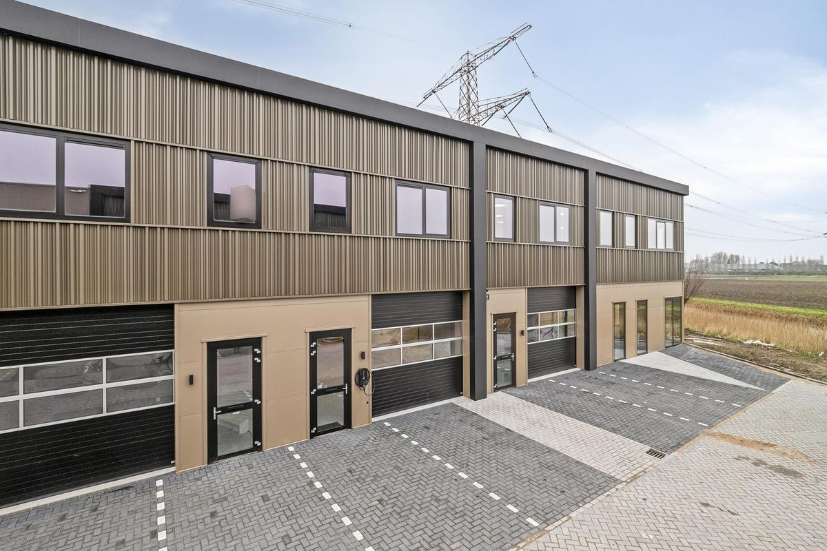 Reedijk 7 - T 30 Photo 5