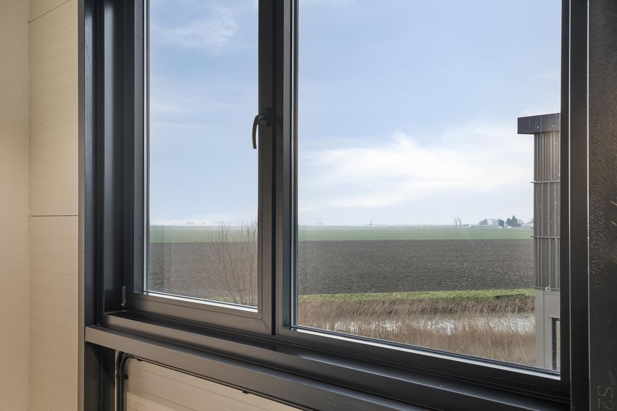 Reedijk 7 - T 30 Photo 14