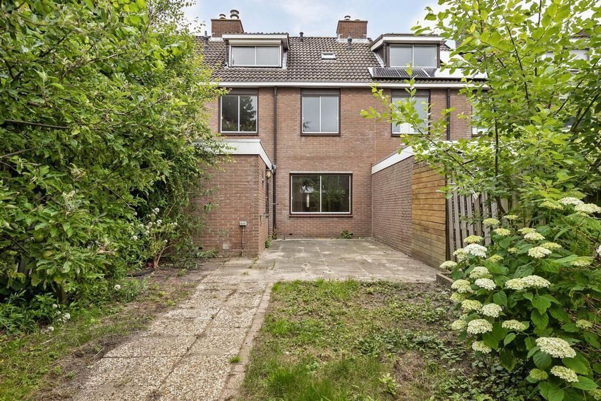 Bergeend 5 Photo 2